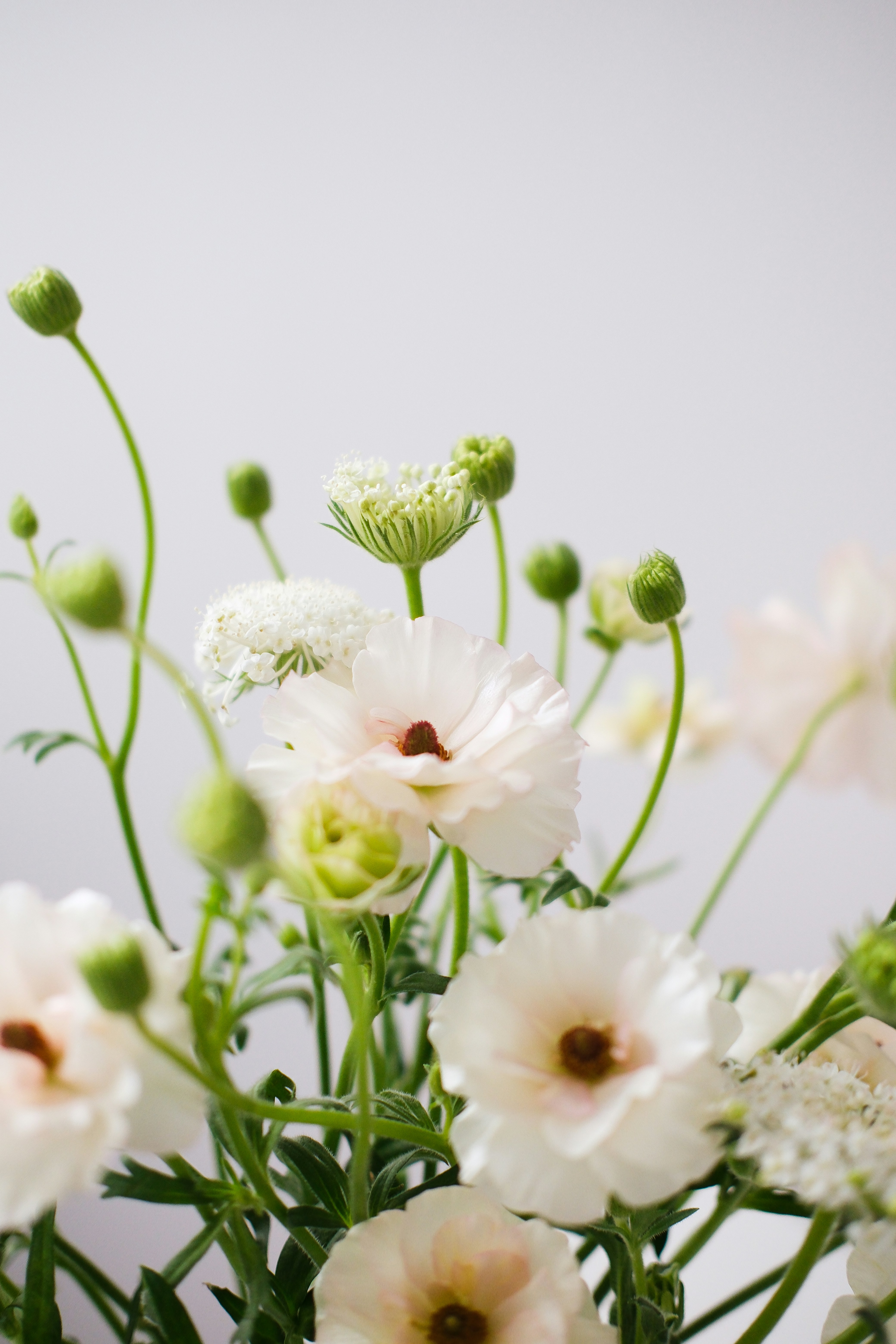 Photo by nganduong93