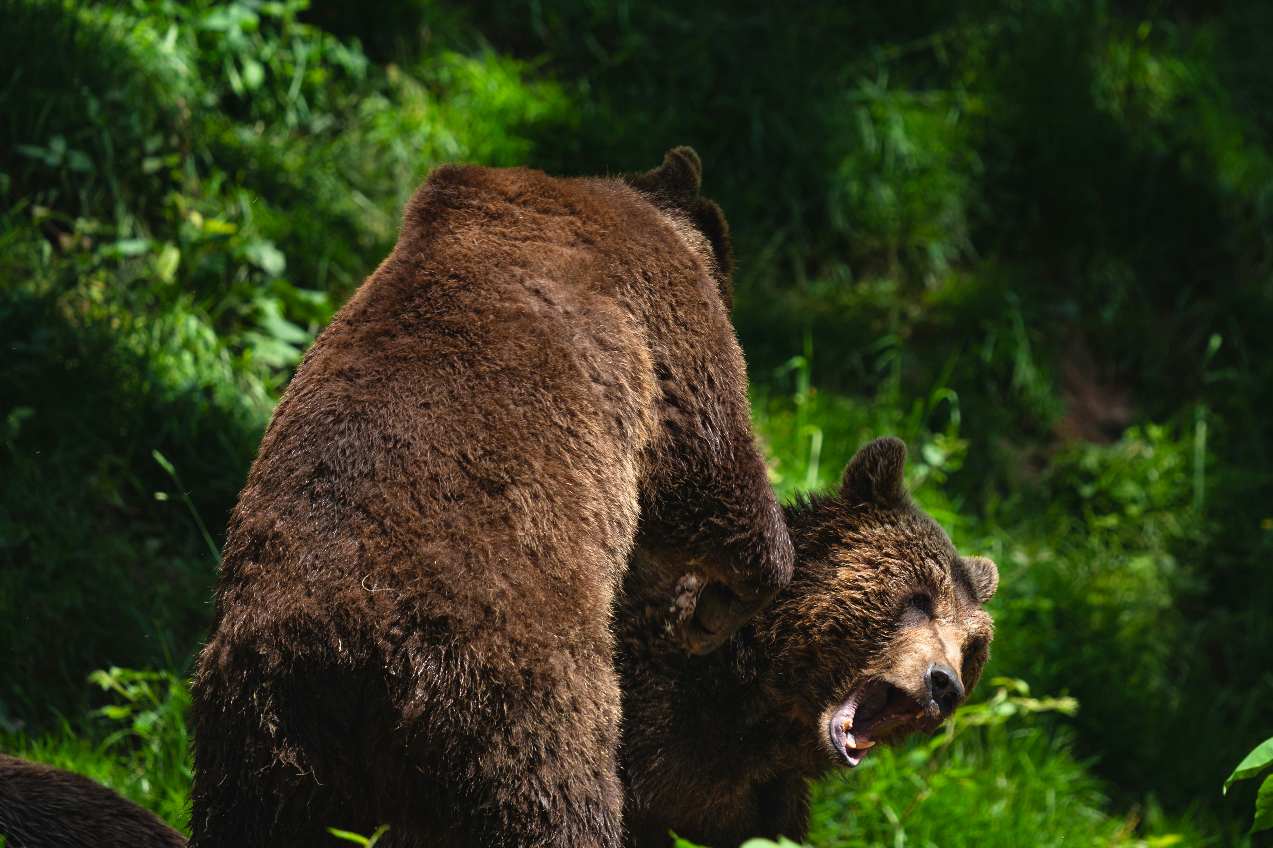 Photo by mmvisualstories