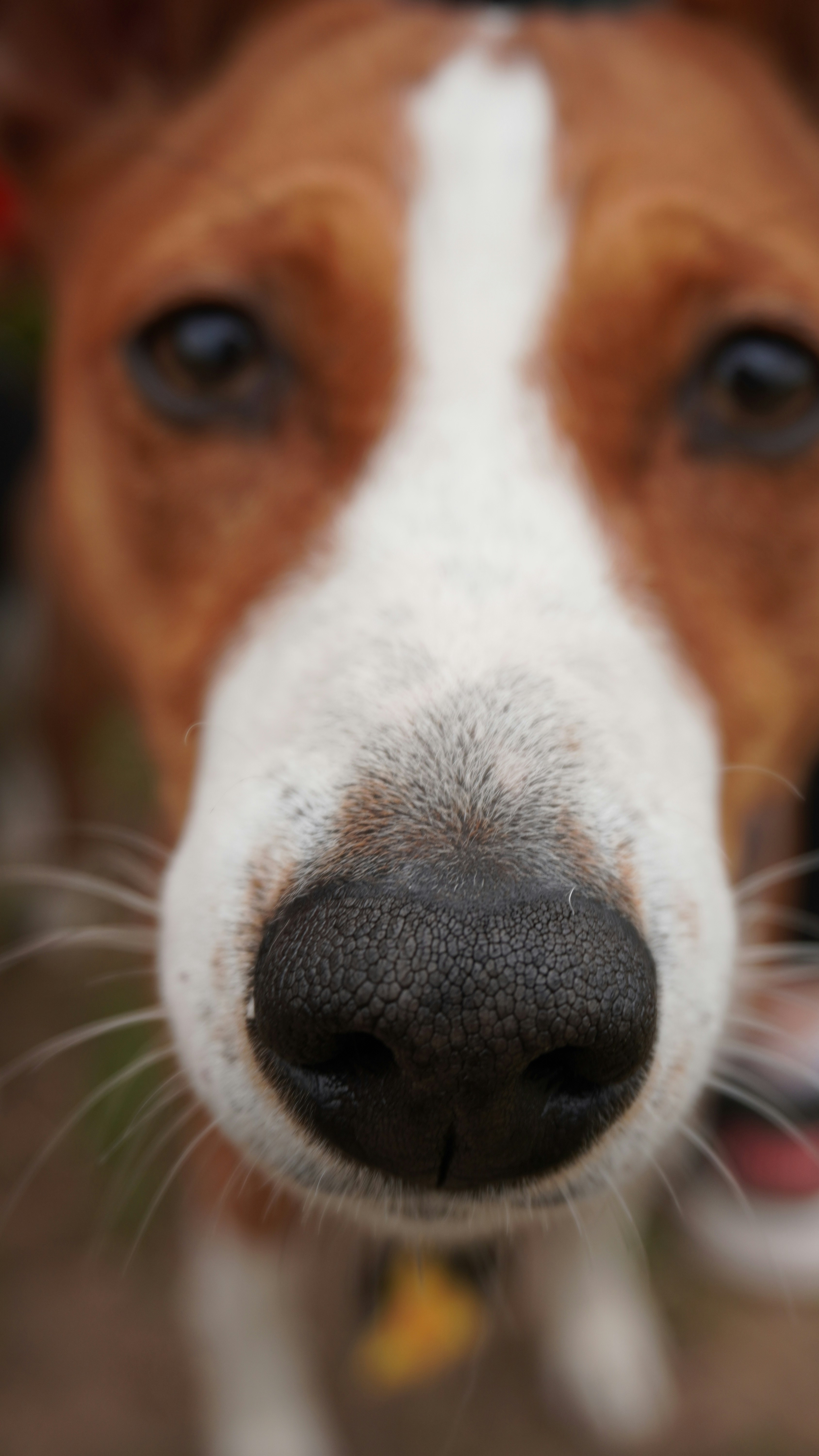 Photo by birdwatcher1