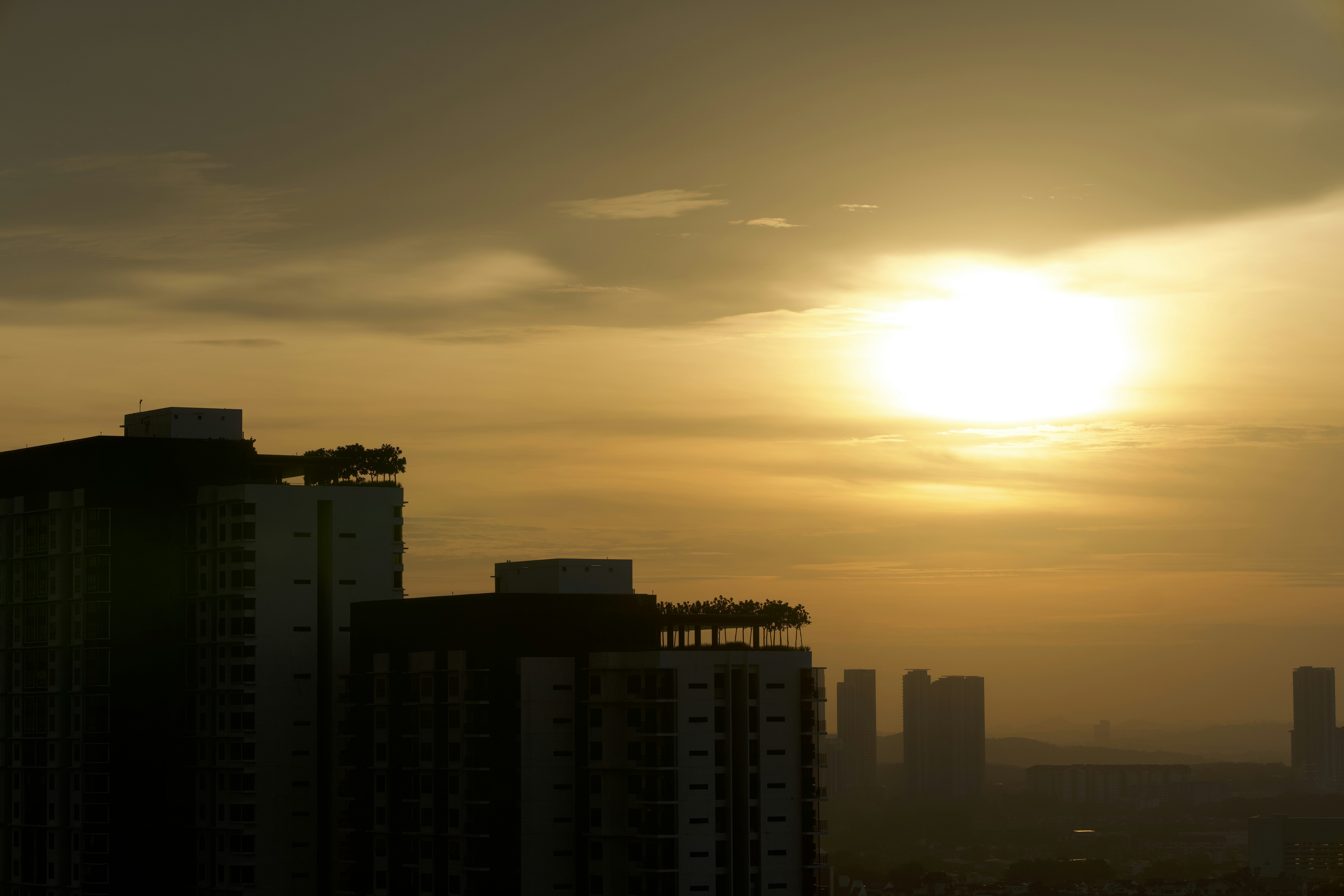 Photo by mehrdadmanzour