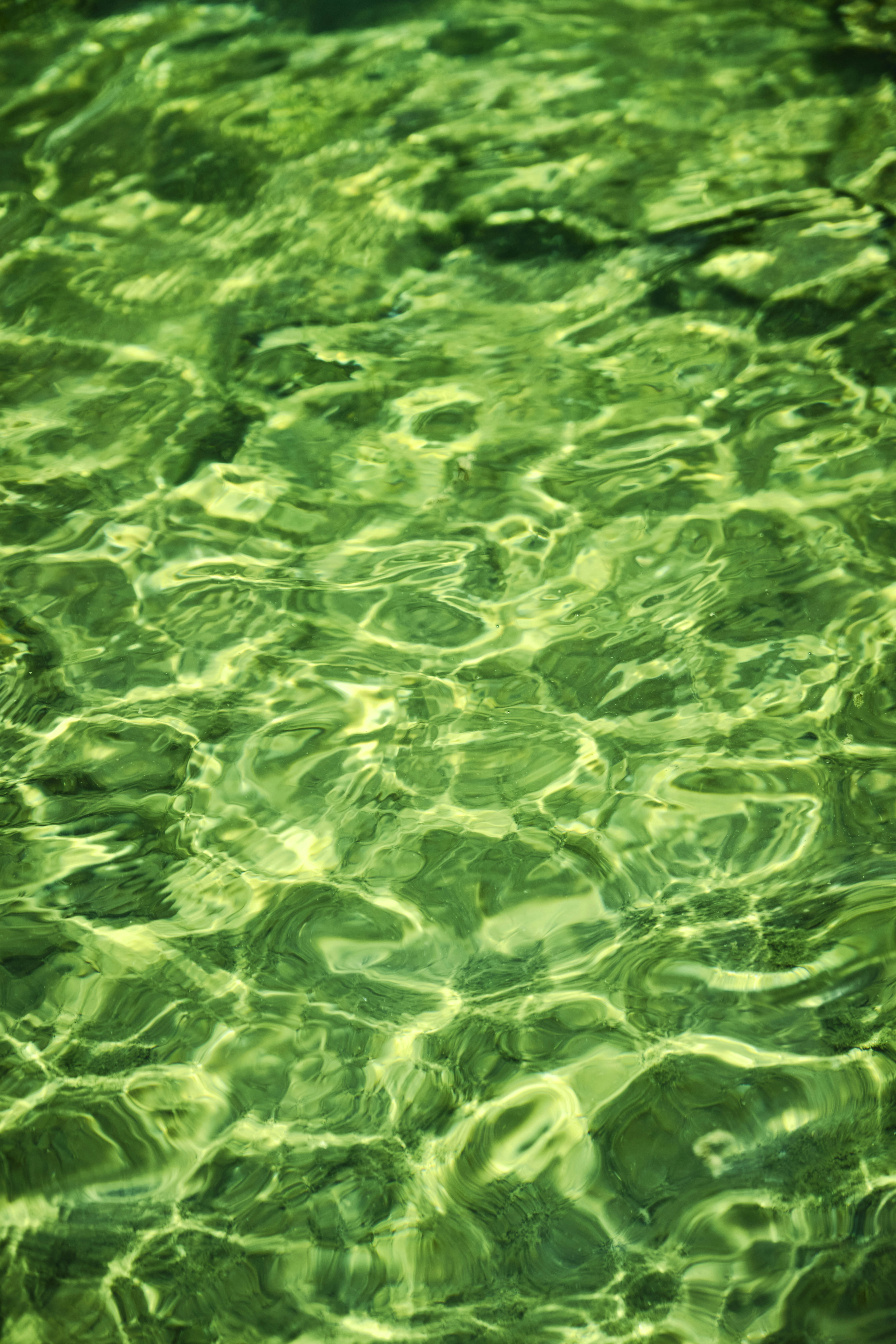 Cold plunge pool and infrared sauna recovery facilities