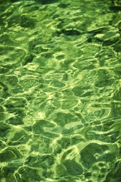 Green water reflects light with beautiful patterns.