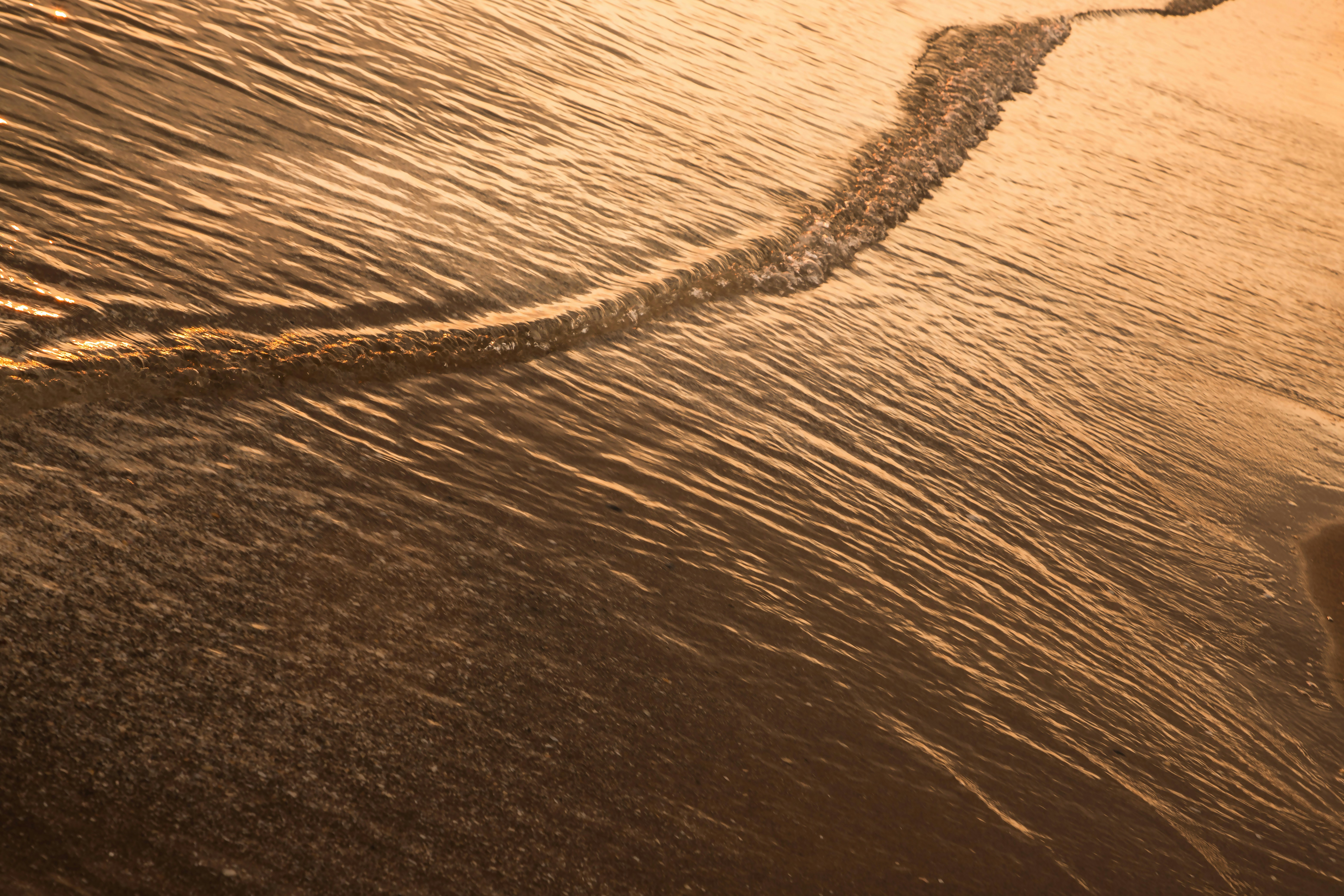 Golden water ripples along a stream.