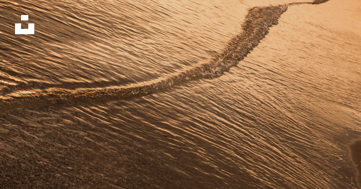 Stream Water Ripples Golden water ripples along a stream. photo – Free Sea Image on Unsplash