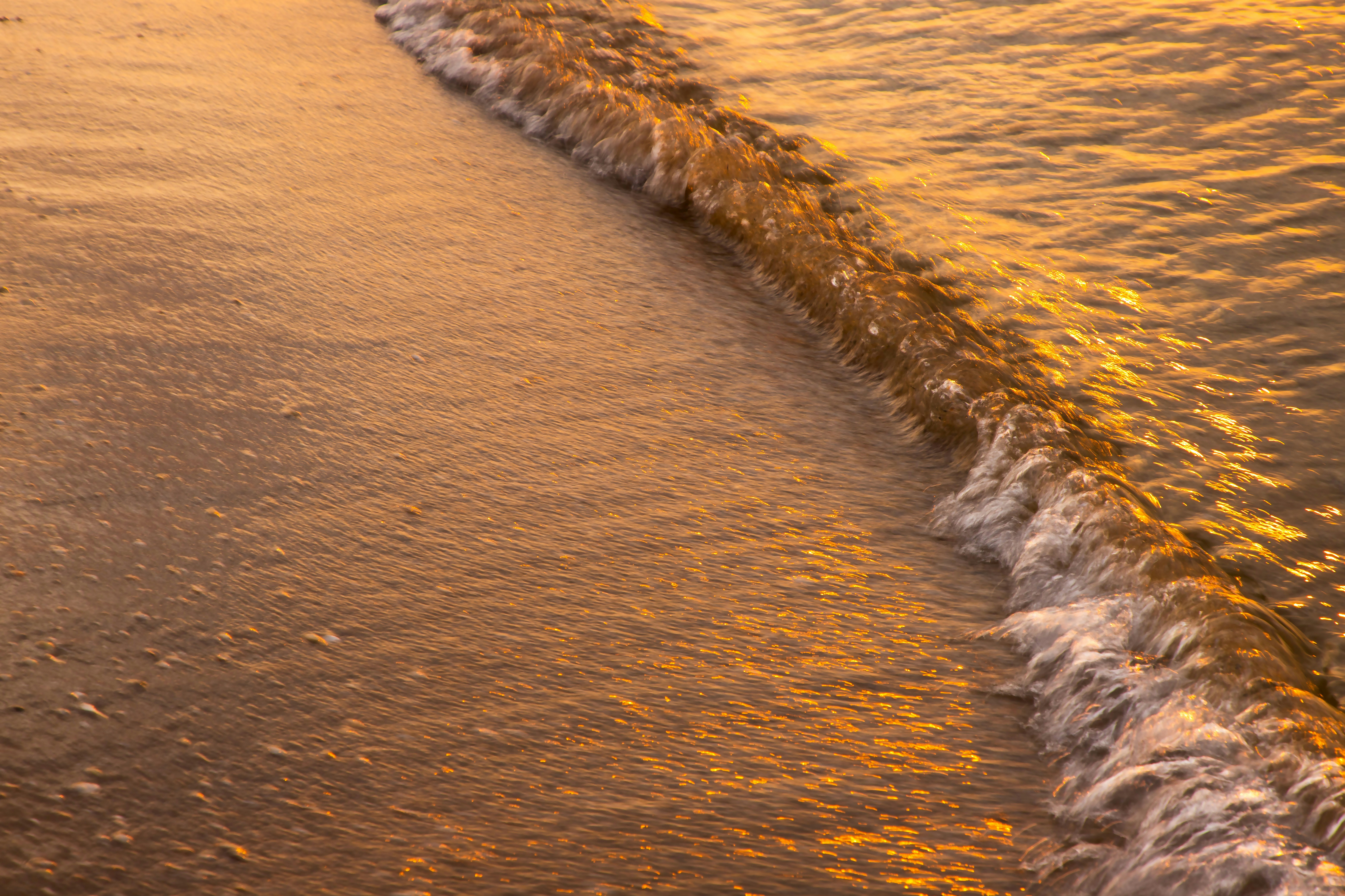 Golden waves gently kiss the sandy shore.