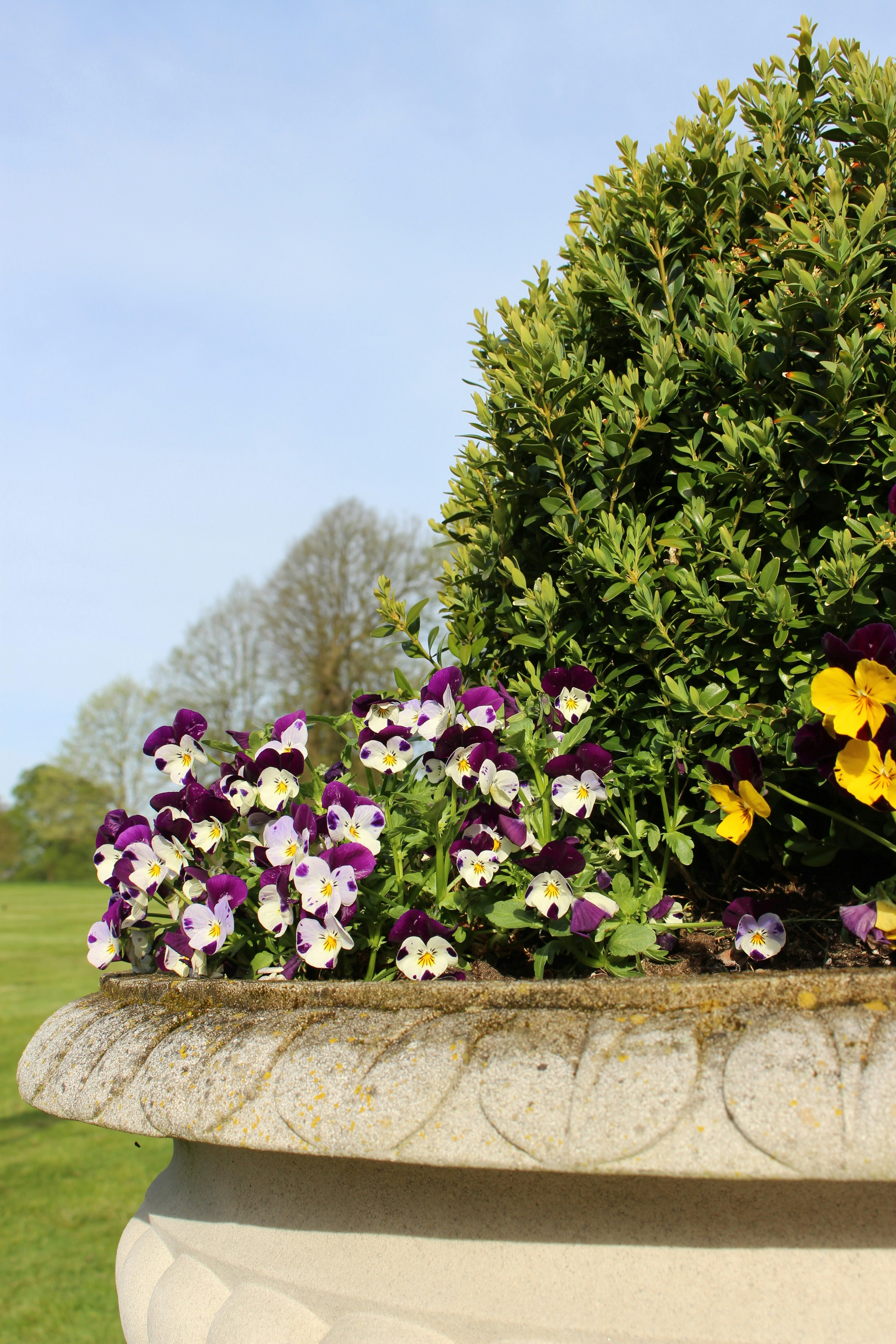 Photo by driftyfluff