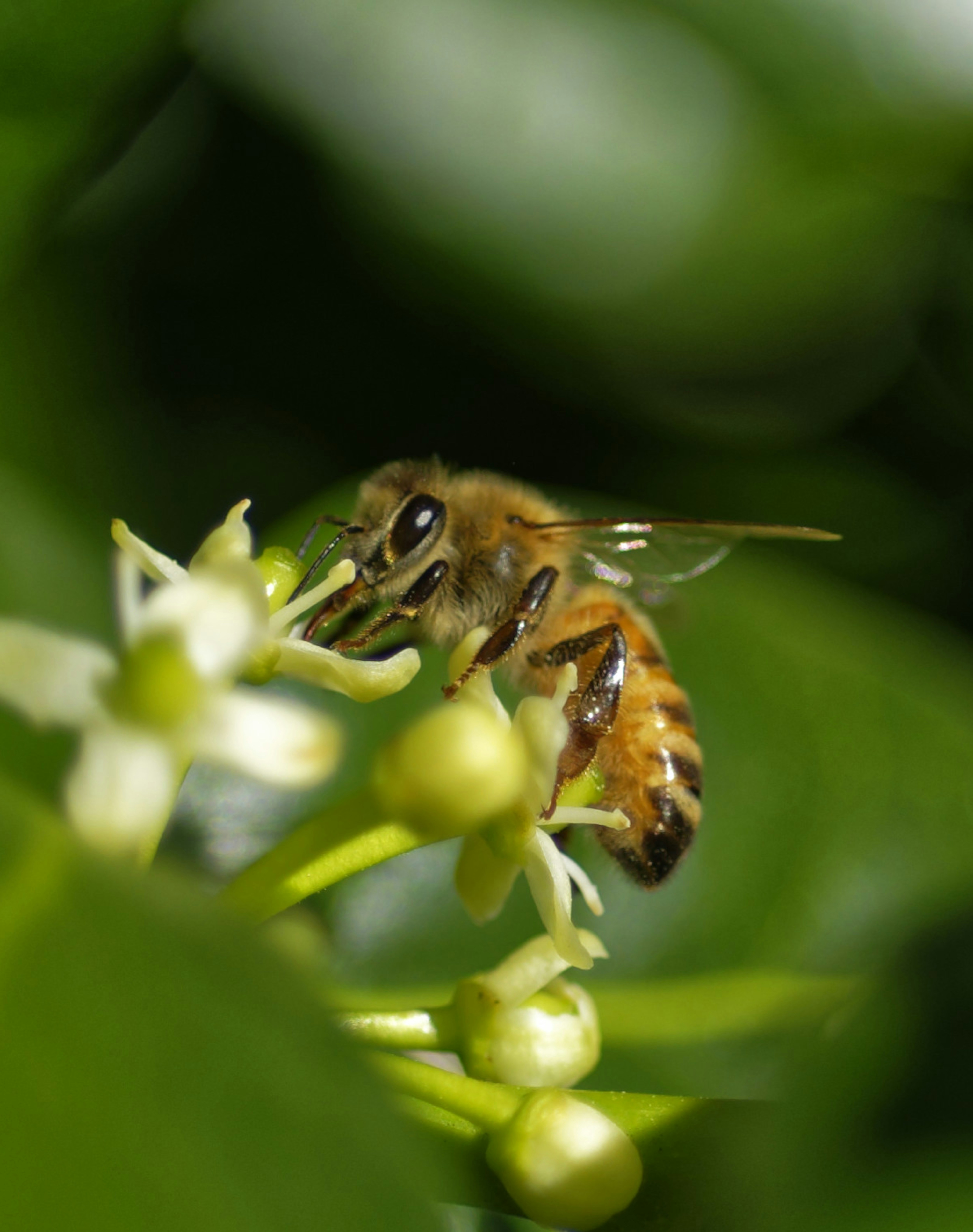 Photo by asphotographypics