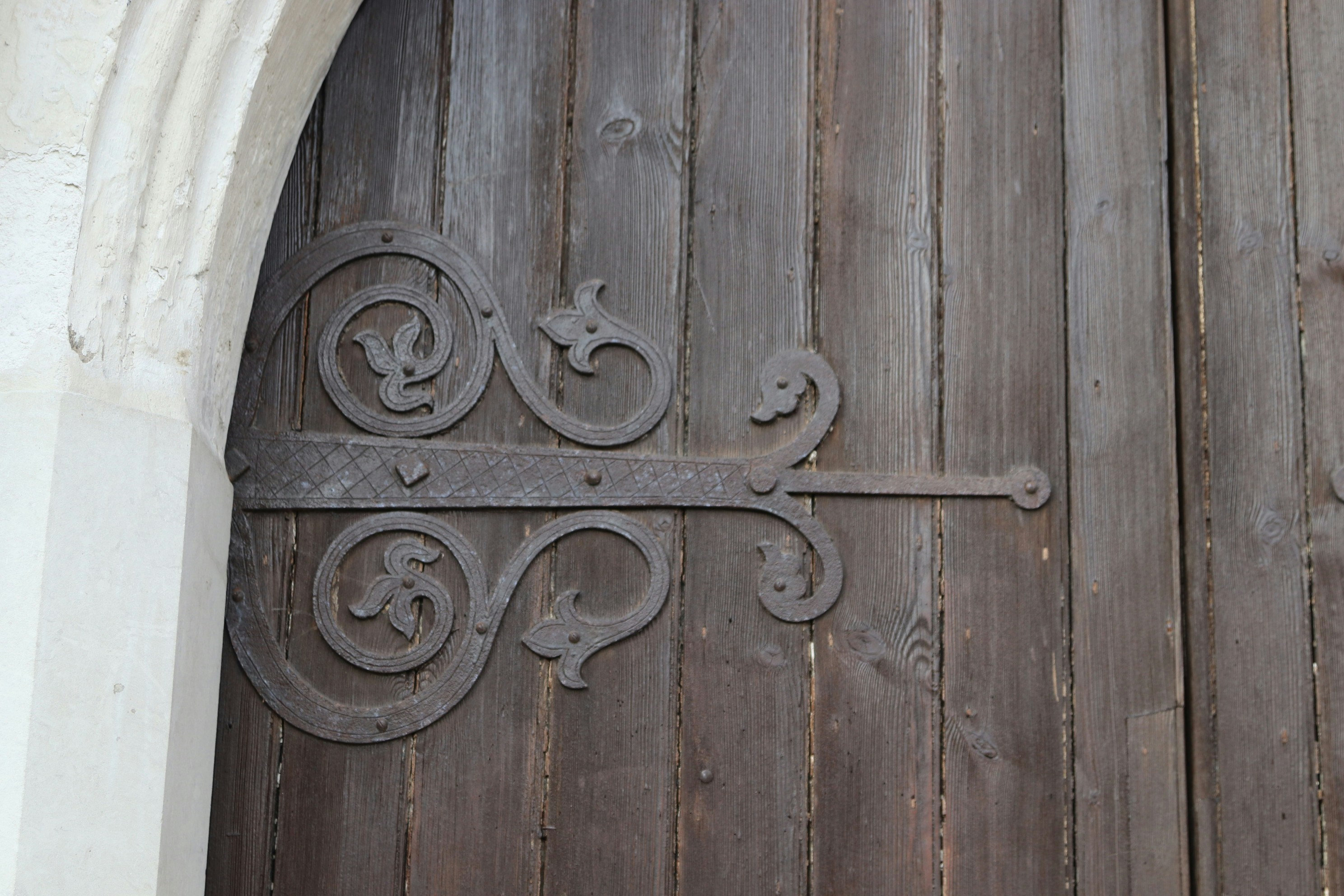 Photo by tanyabarrow