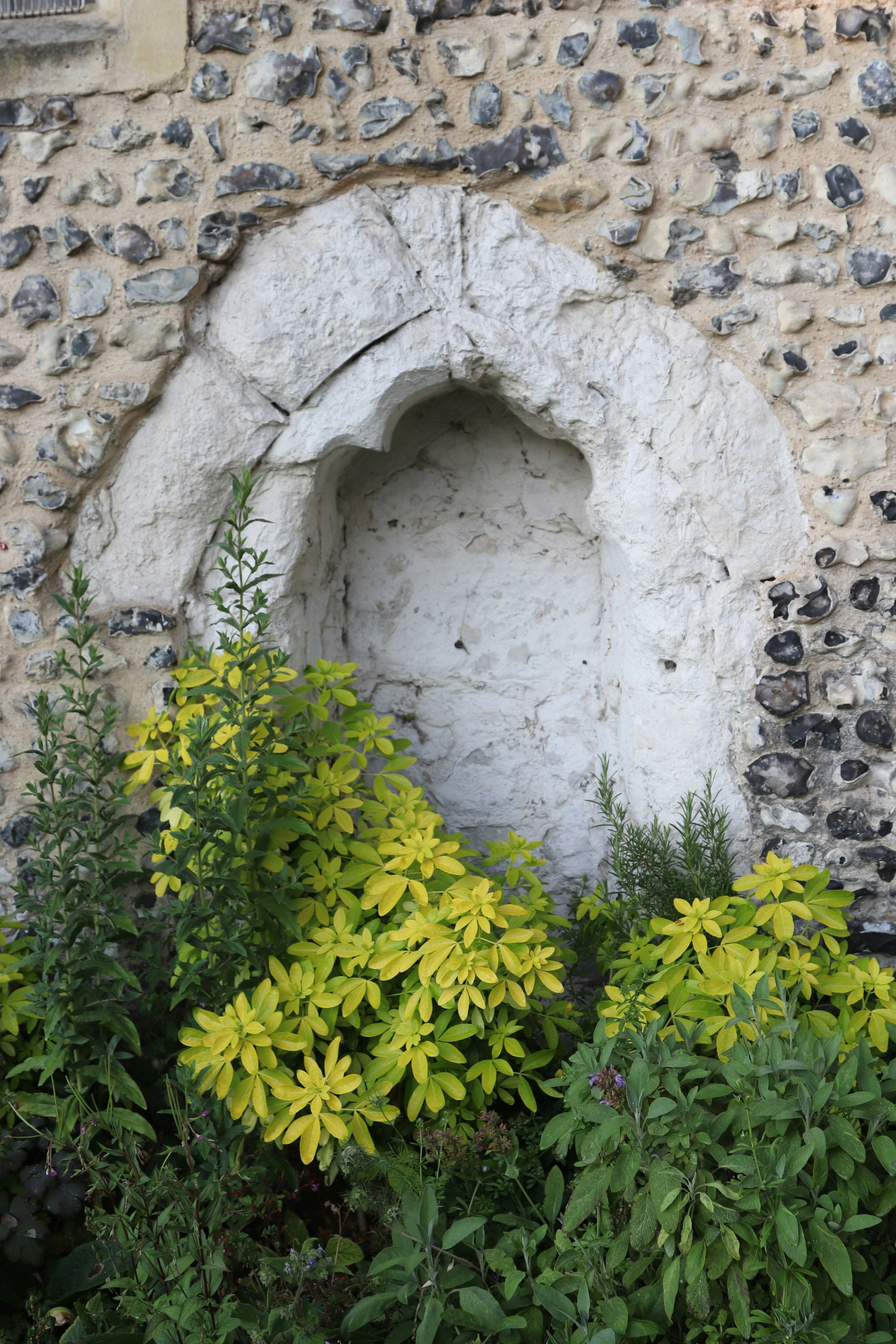 Photo by tanyabarrow