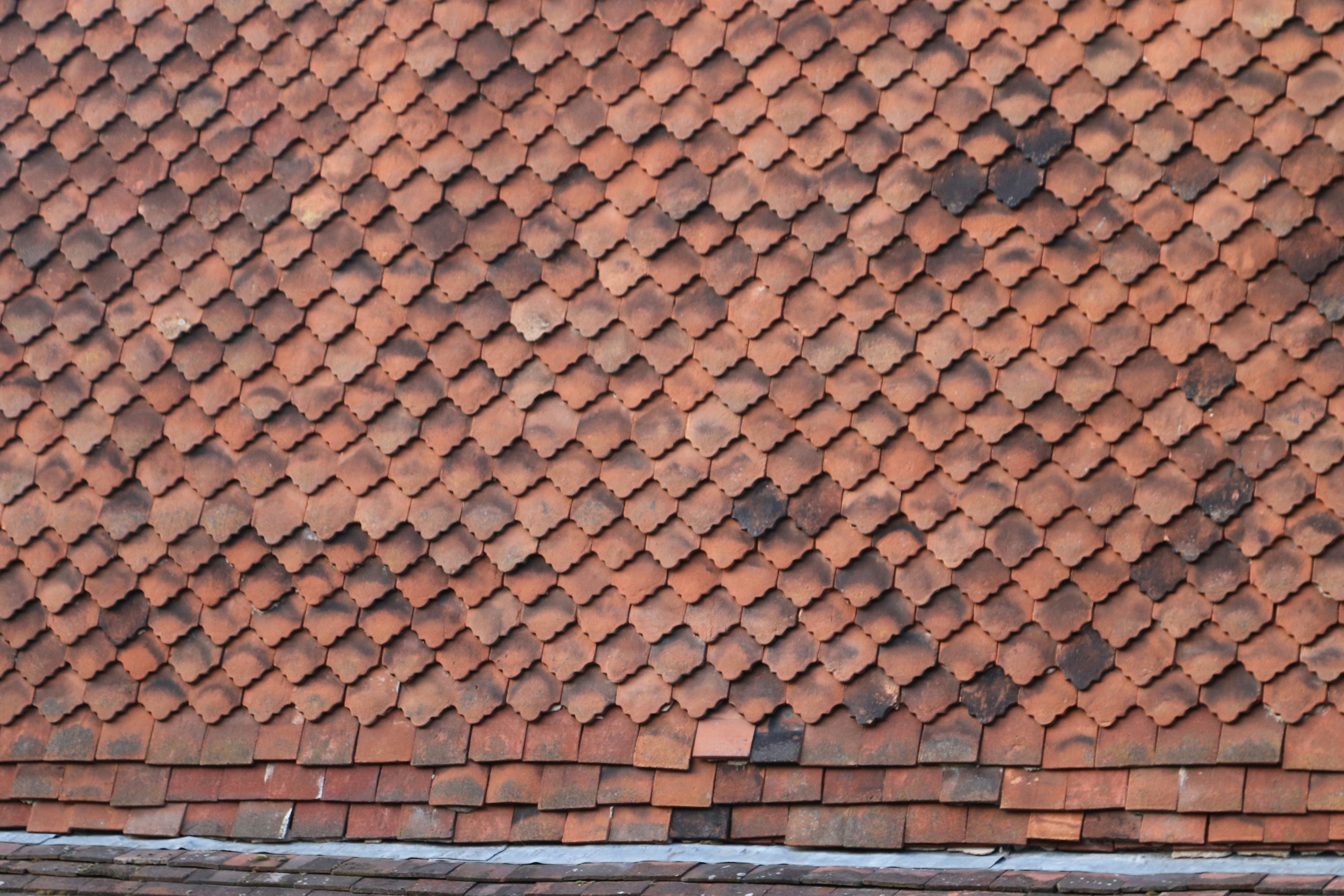 Photo by tanyabarrow