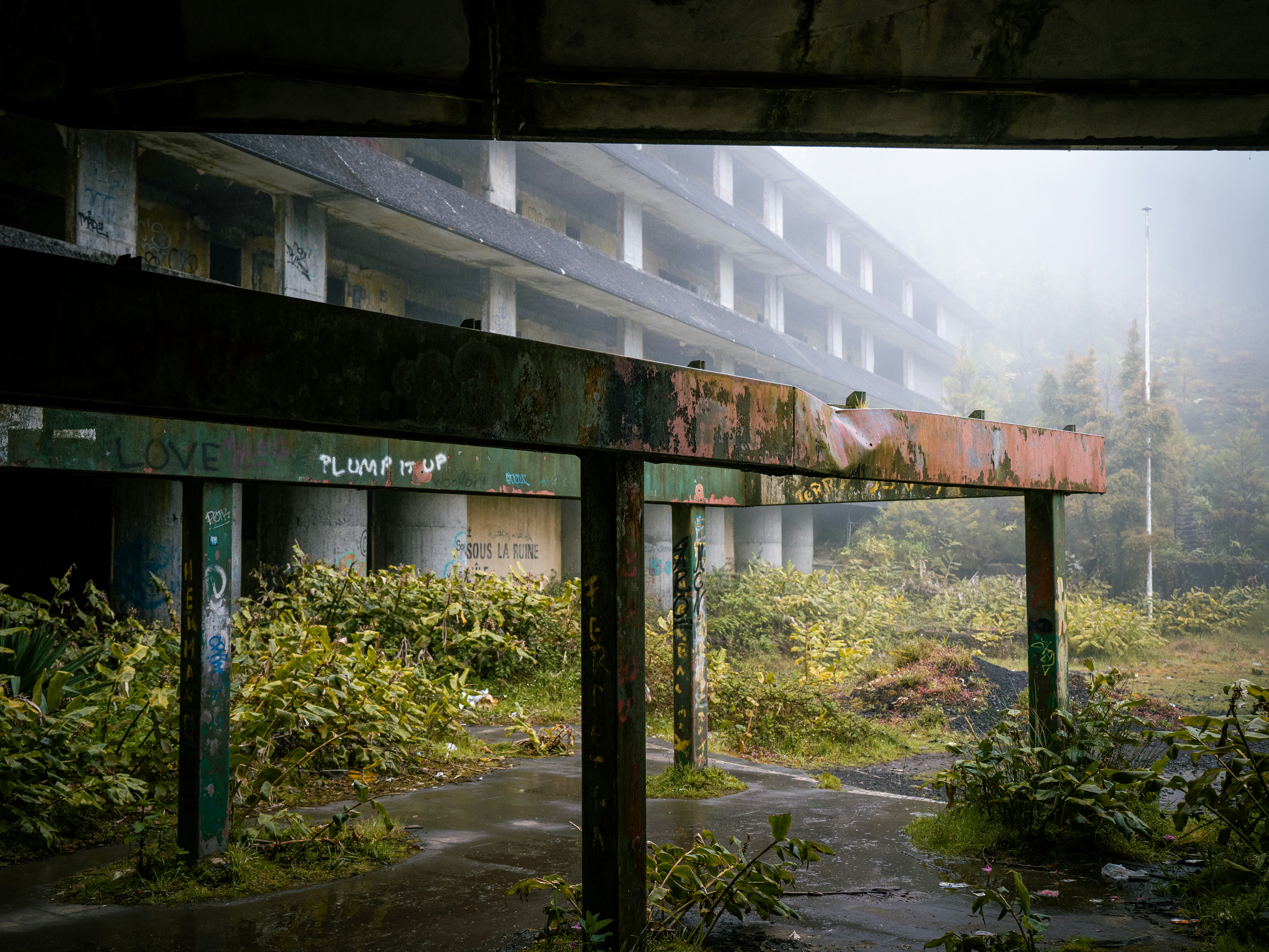 An abandoned building is overgrown with plants.