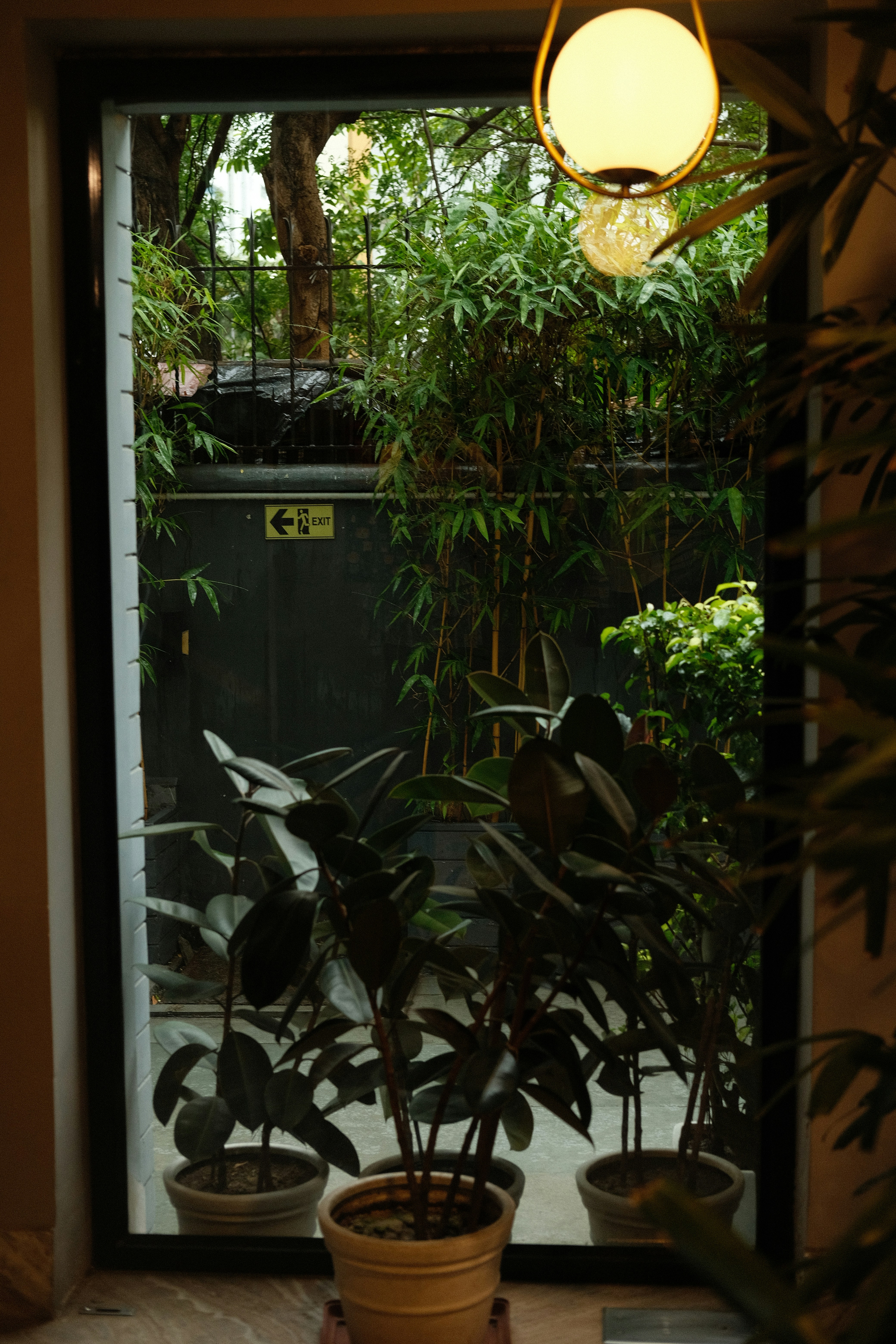 Photo by __potatomato__