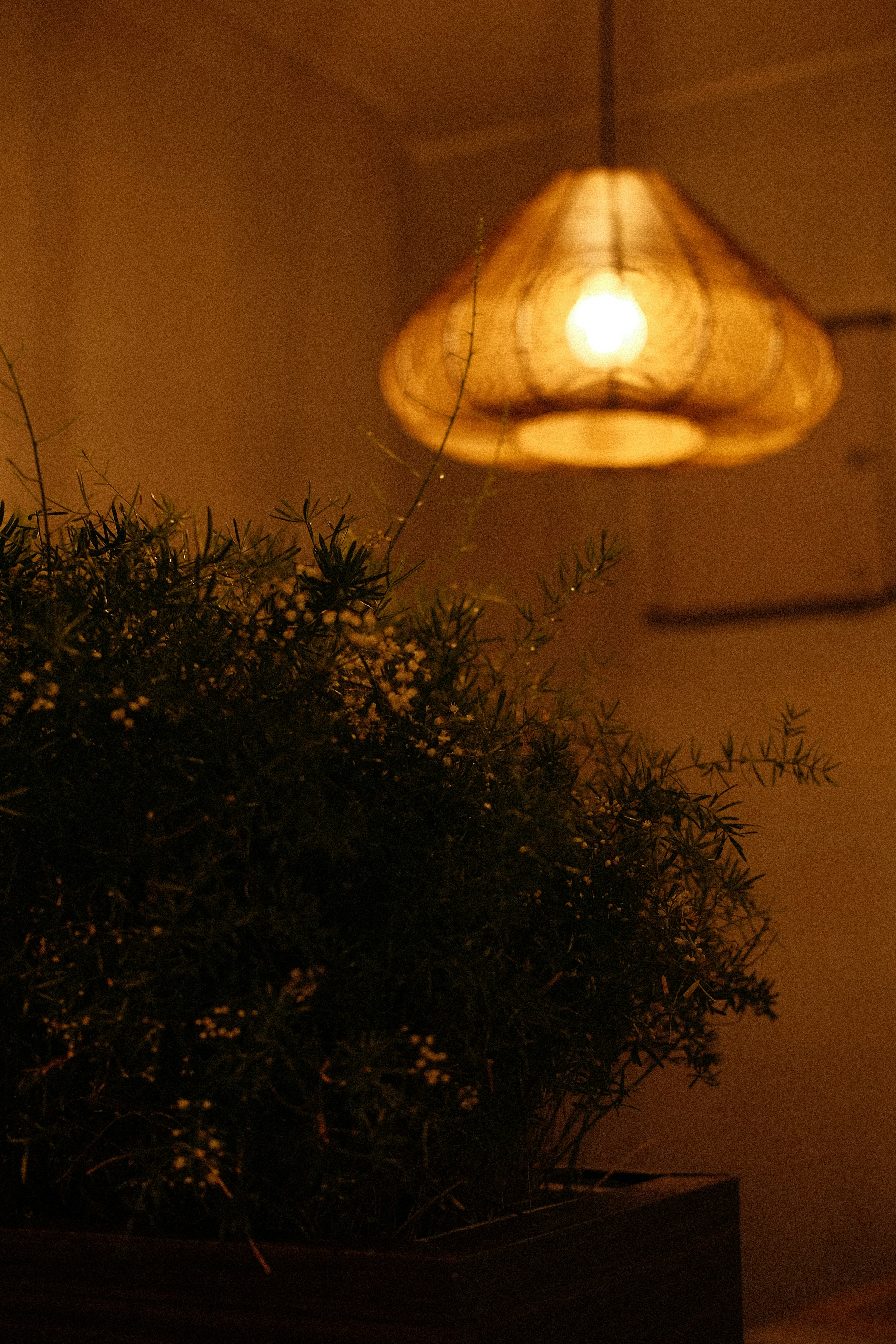 minimalist wallpaper 4k, wallpaper, Ultra HD Wallpapers: Elevate Your Digital Aesthetic 4