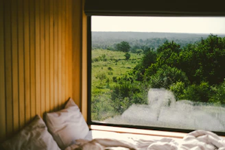 Cozy room with a beautiful view outside the window.