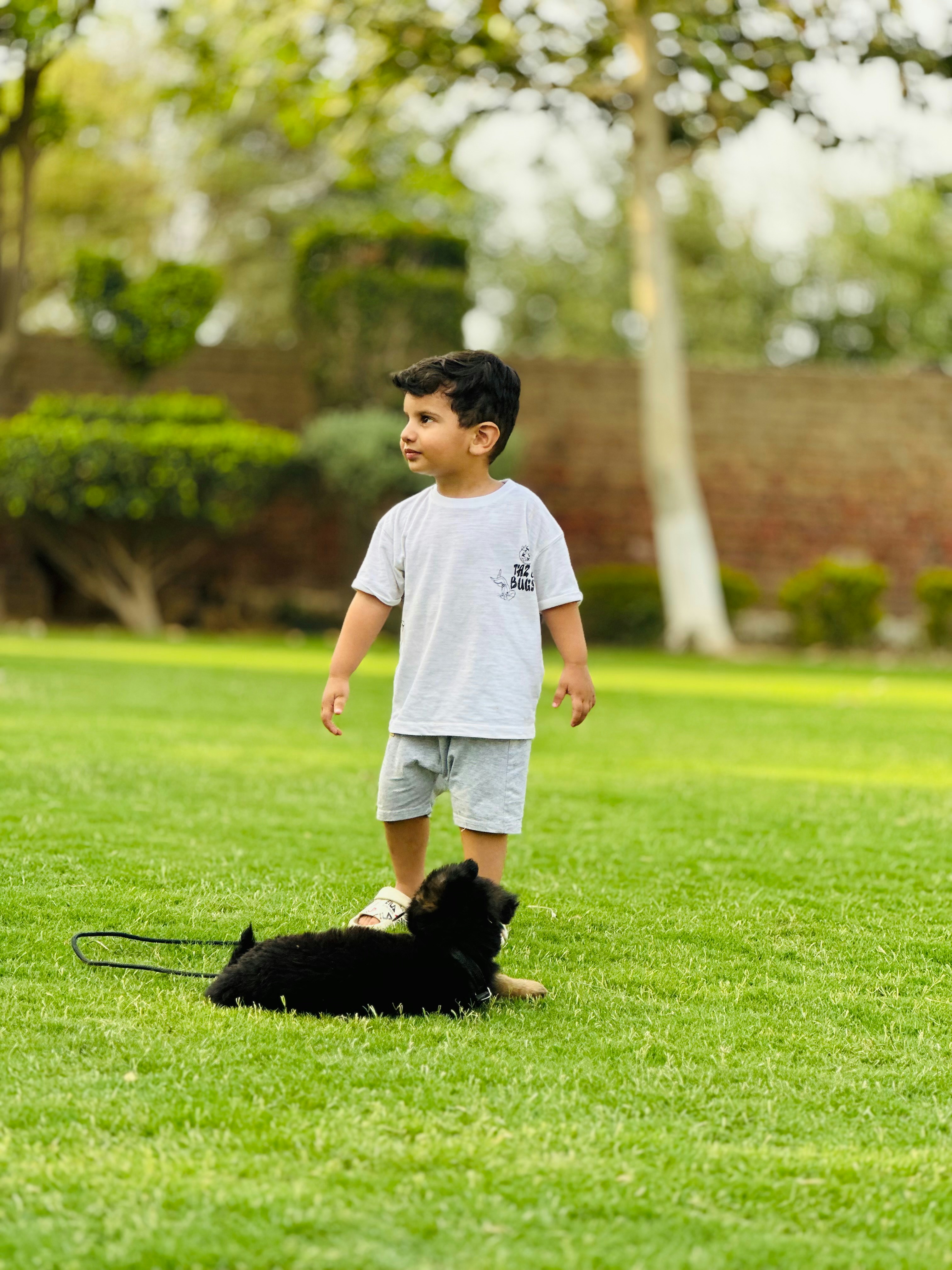 personalized dog walk