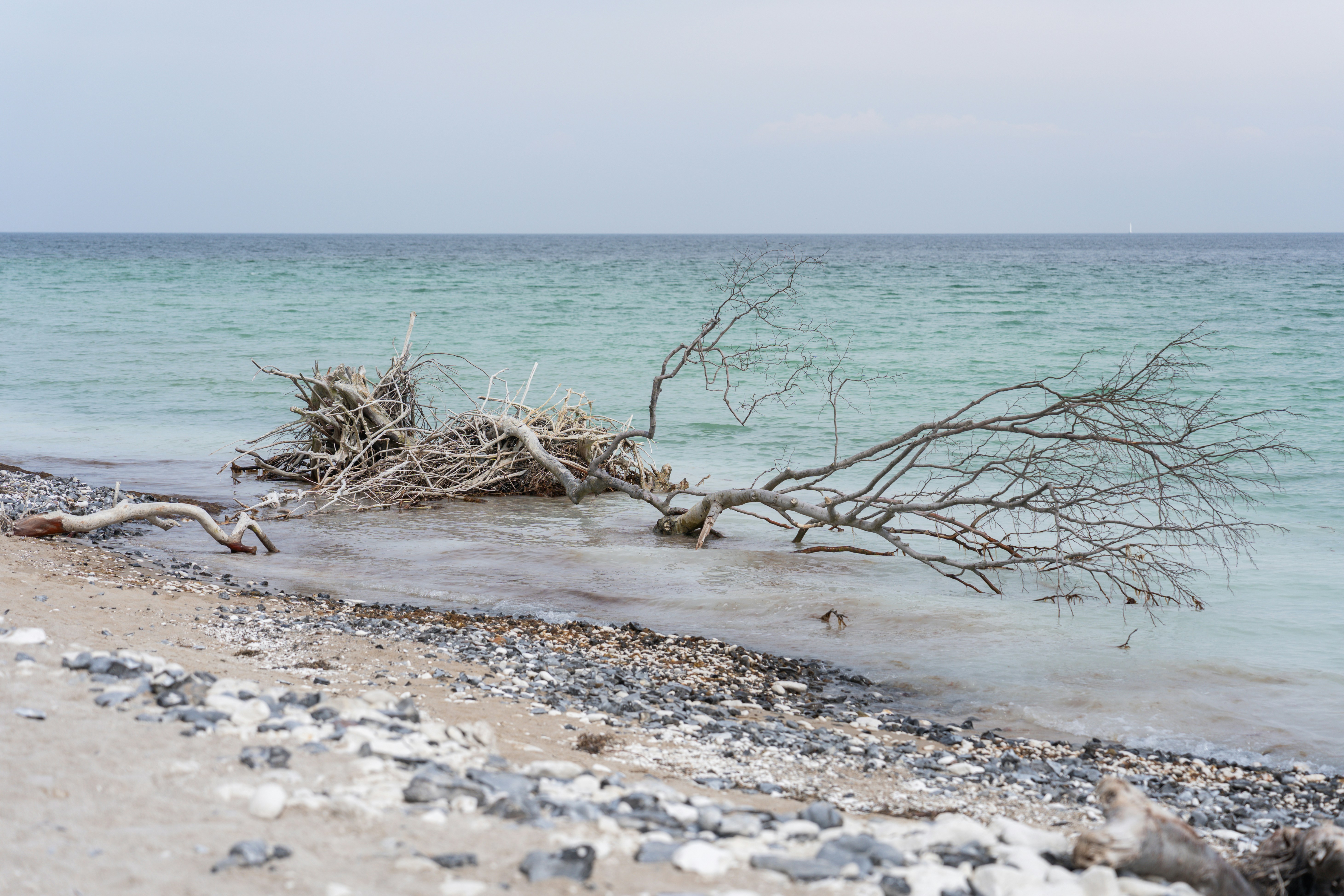 Photo by carinamariah