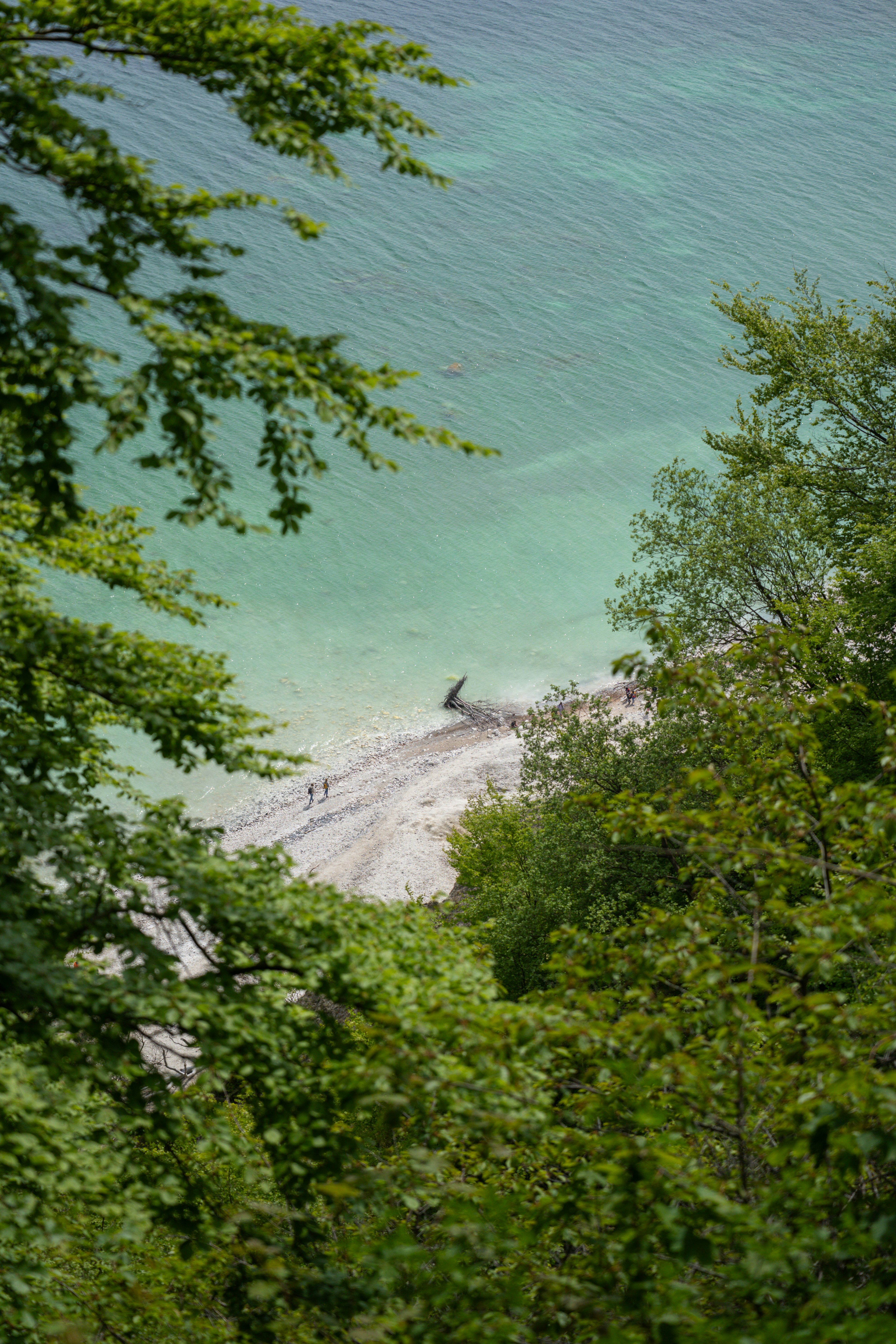 Photo by carinamariah