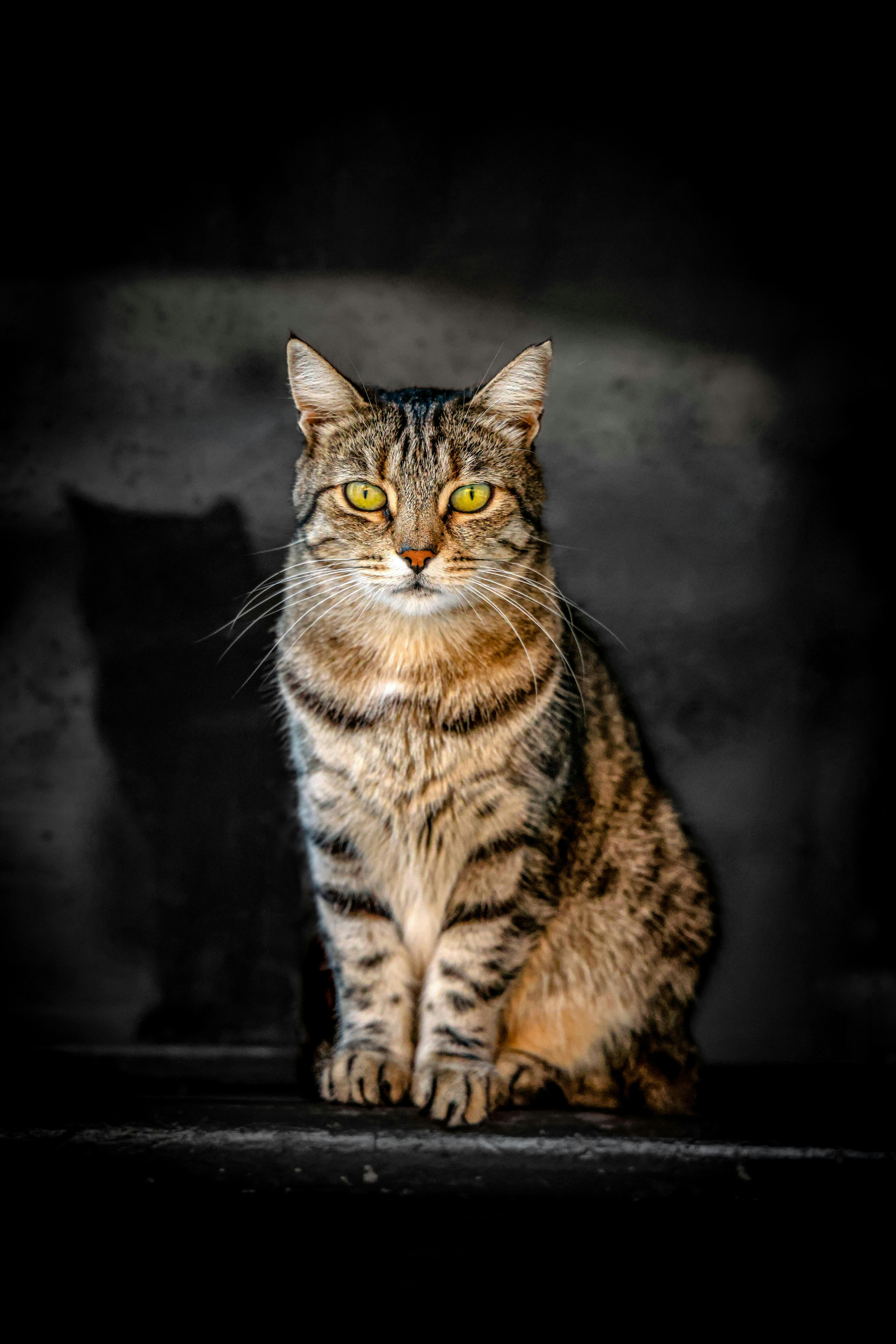 Photo by americanaez225