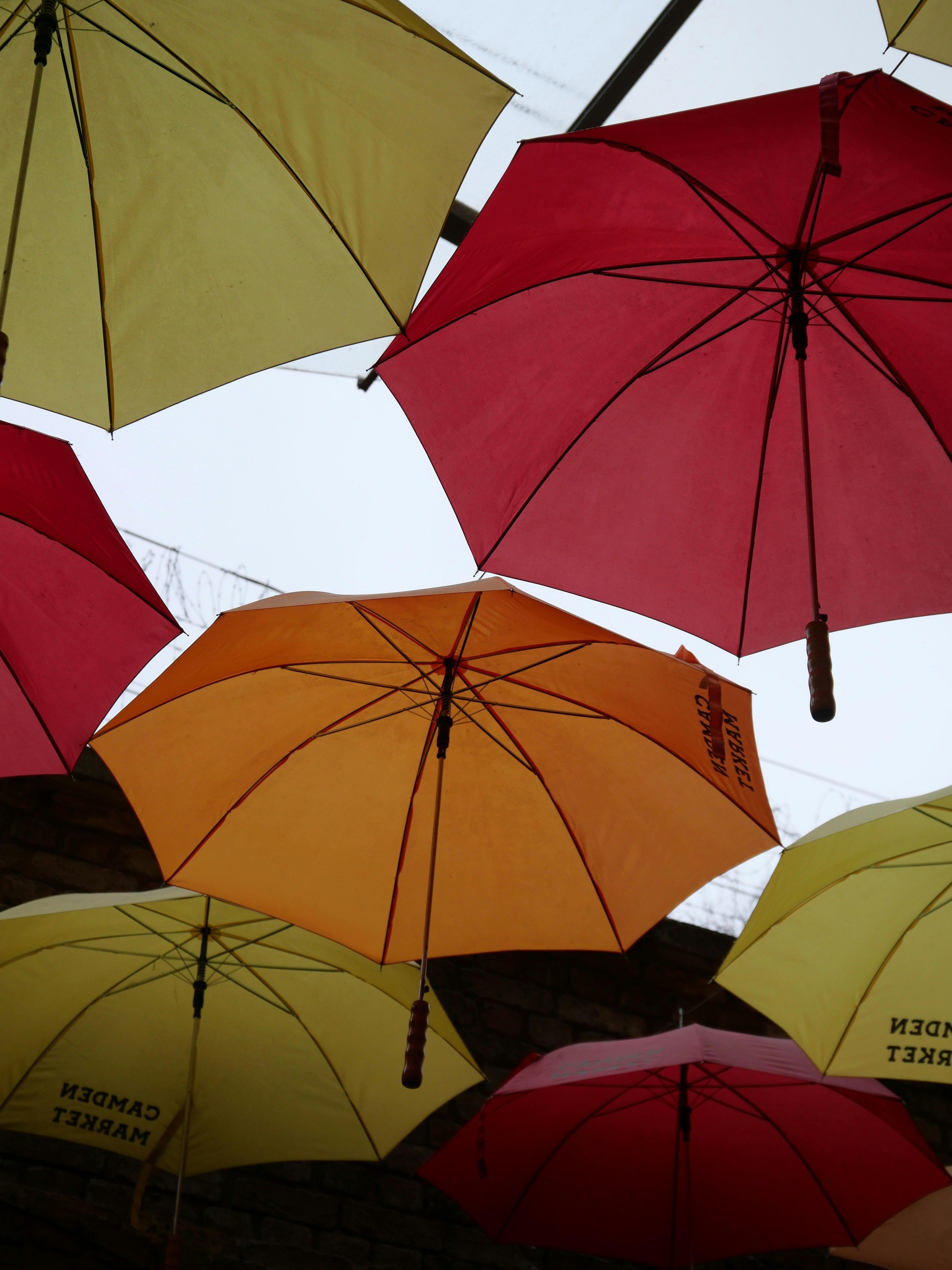 Photo by mael_leseney