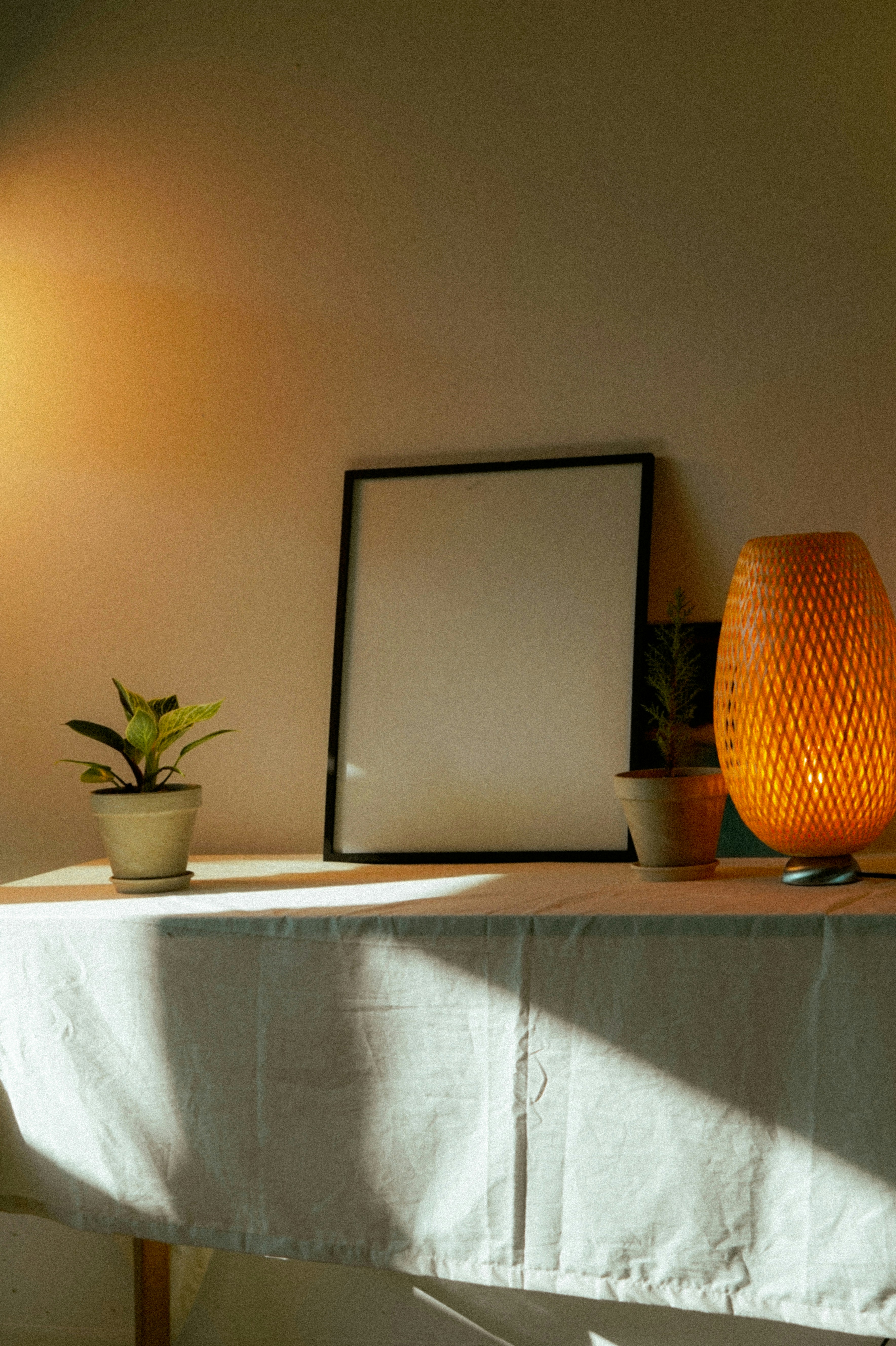 Photo by thingsneverchange