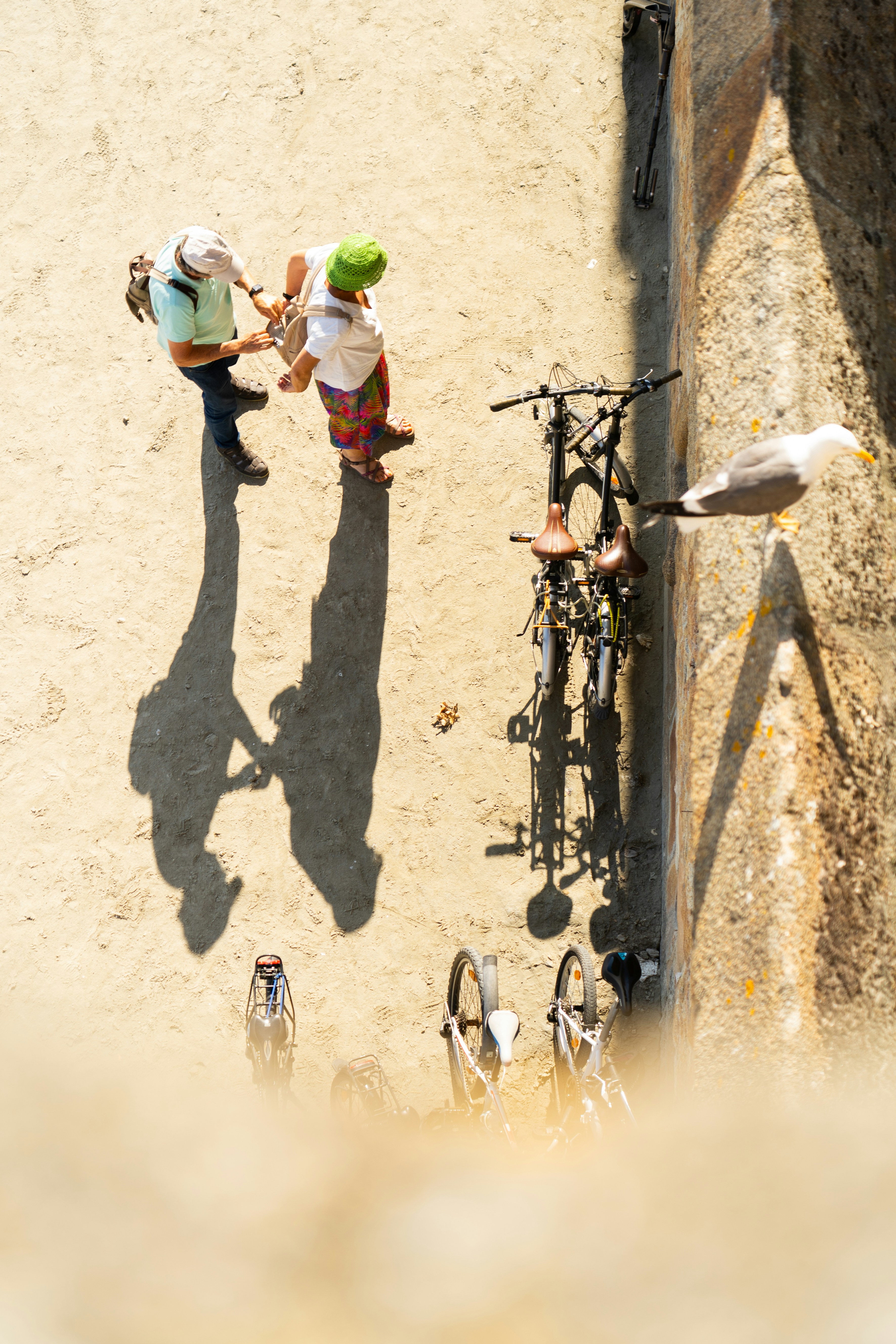 People and a bicycle cast long shadows in the sun.