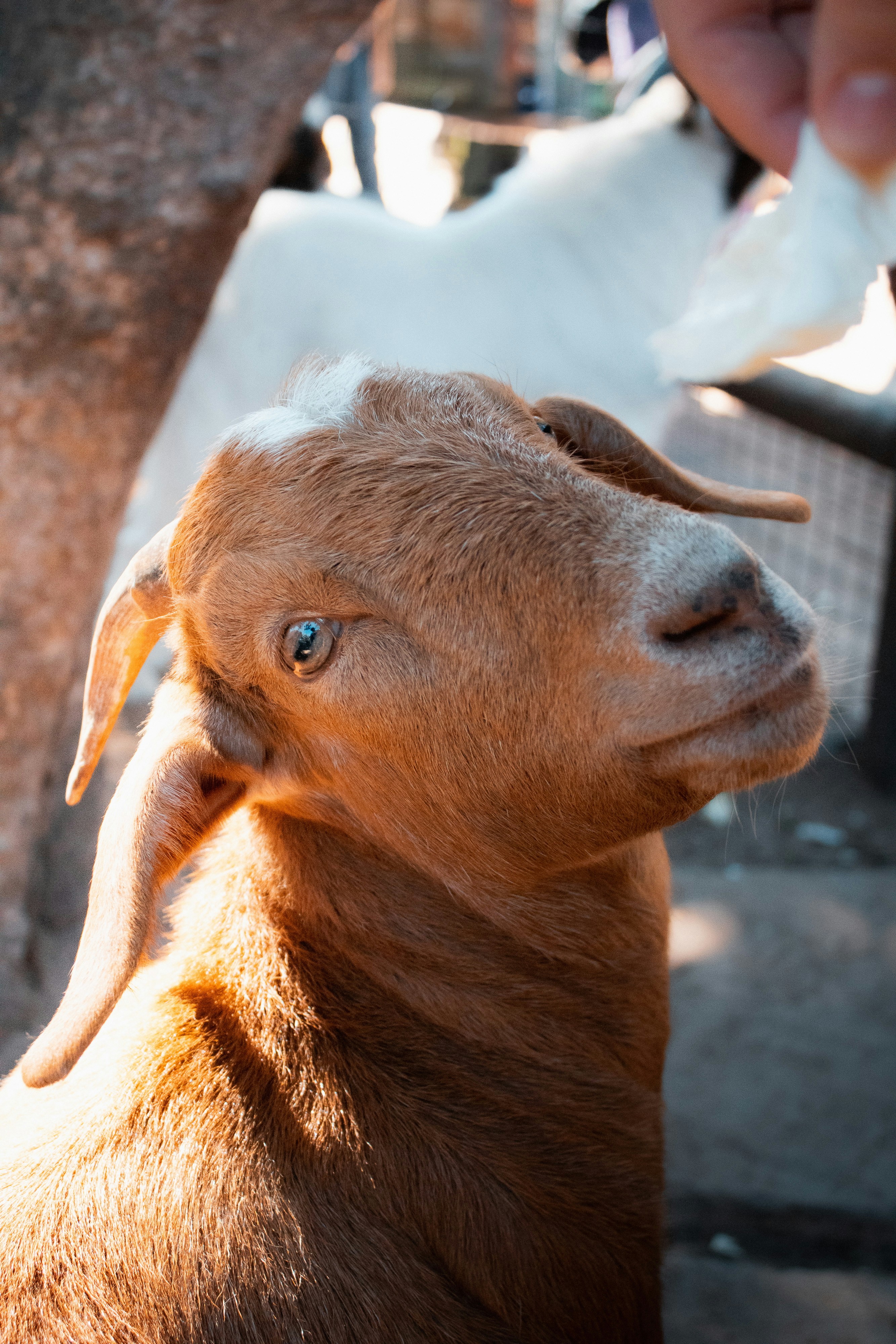 Photo by kcphotographer