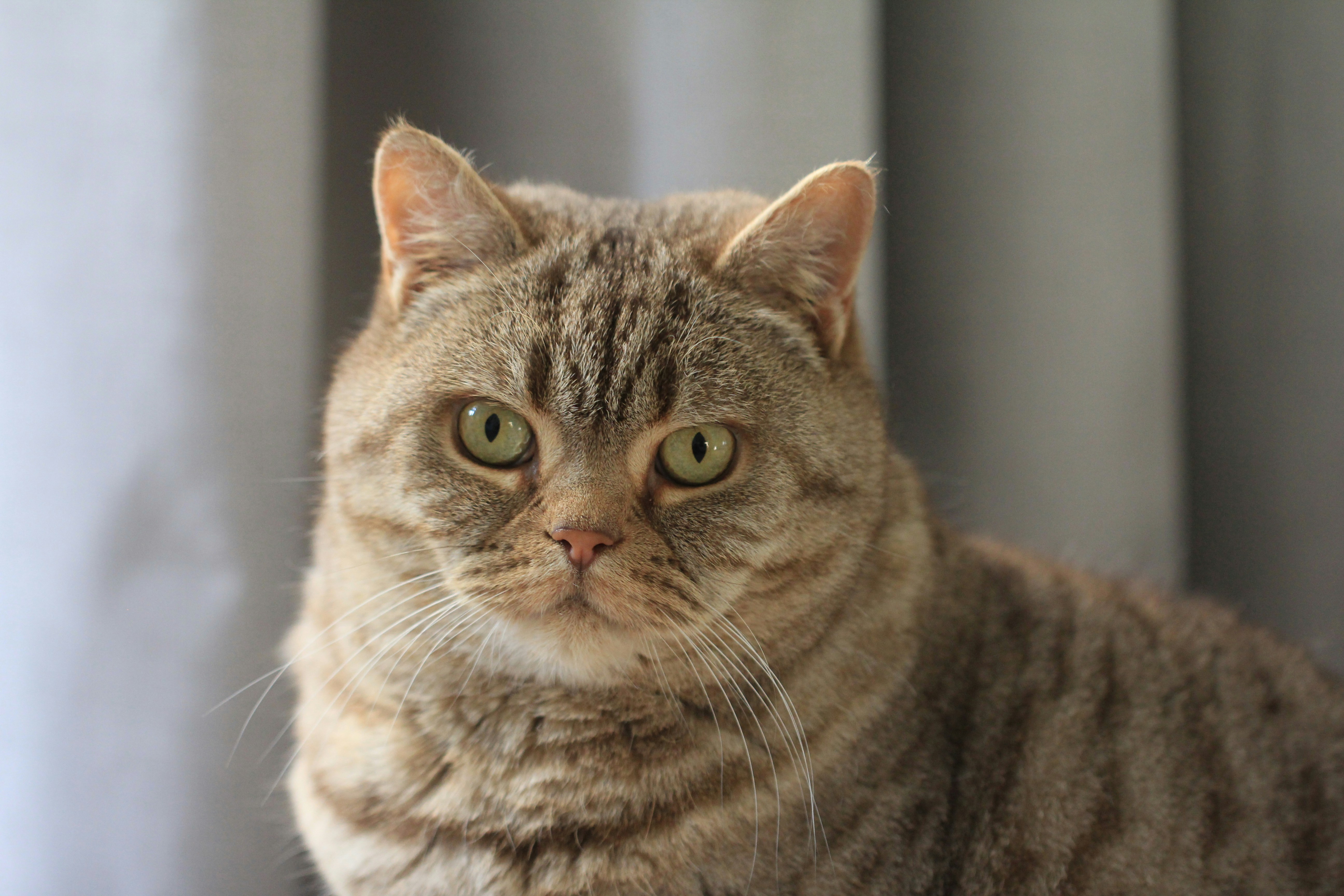 Hypnotic in Motion (image credits: unsplash)