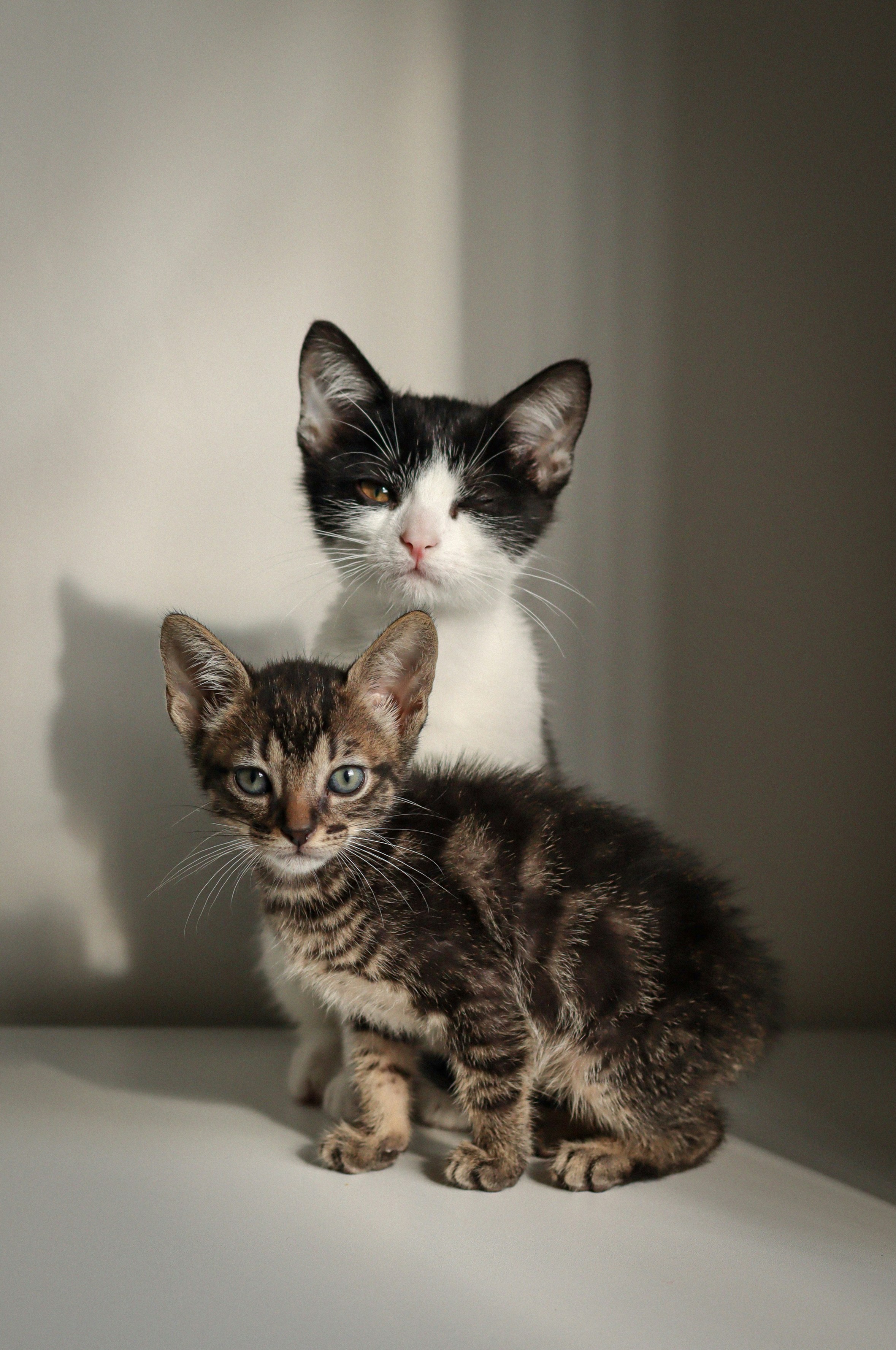 Photo by mateoramirez22