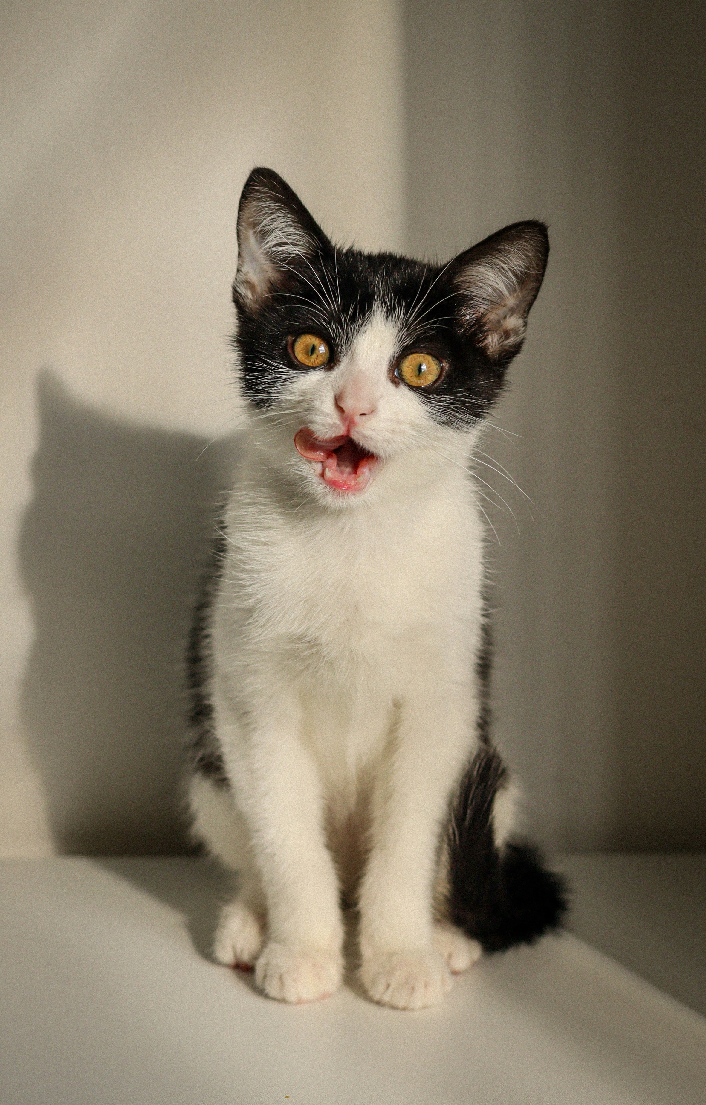 Photo by mateoramirez22