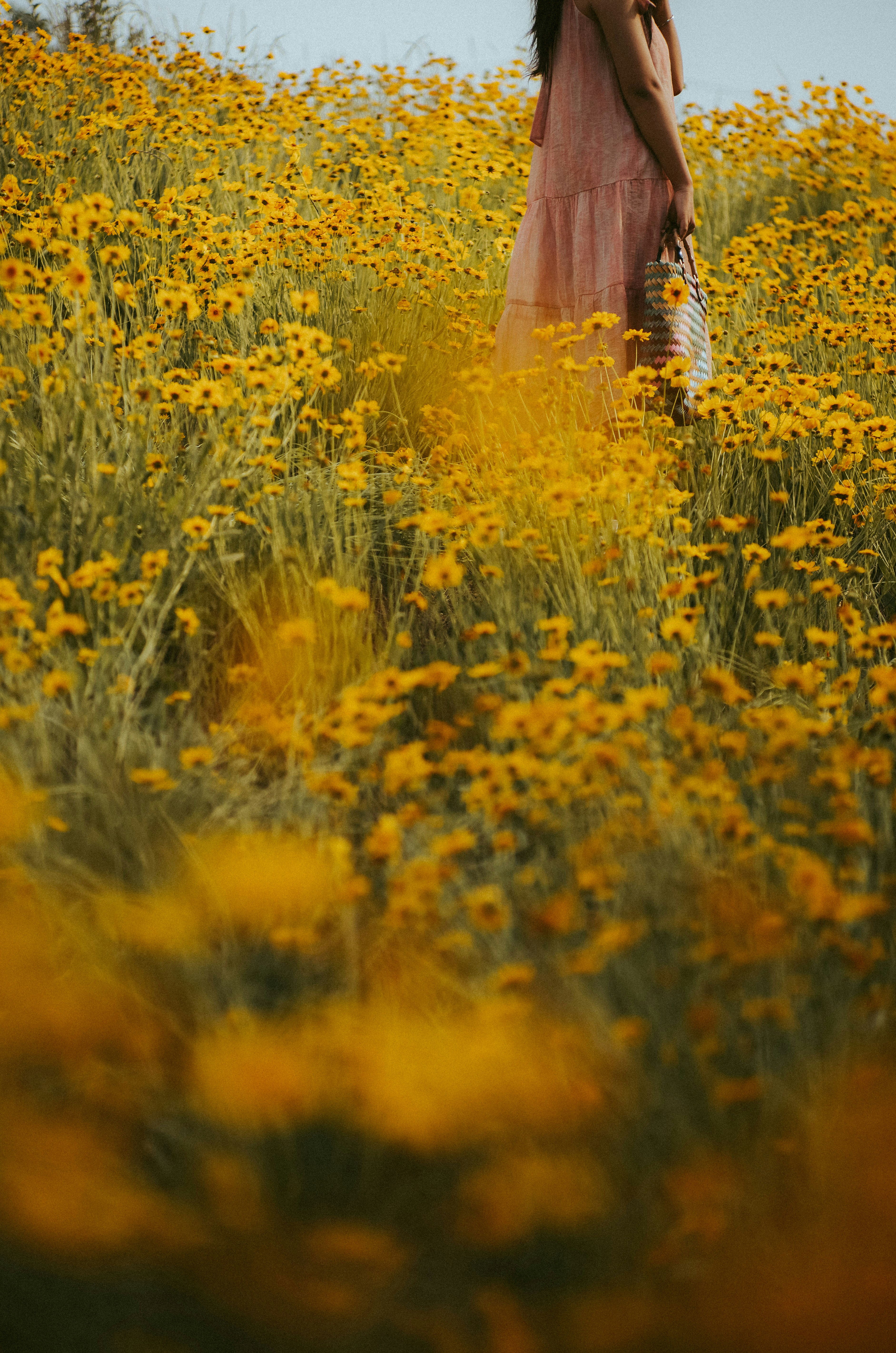 Photo by uranwang