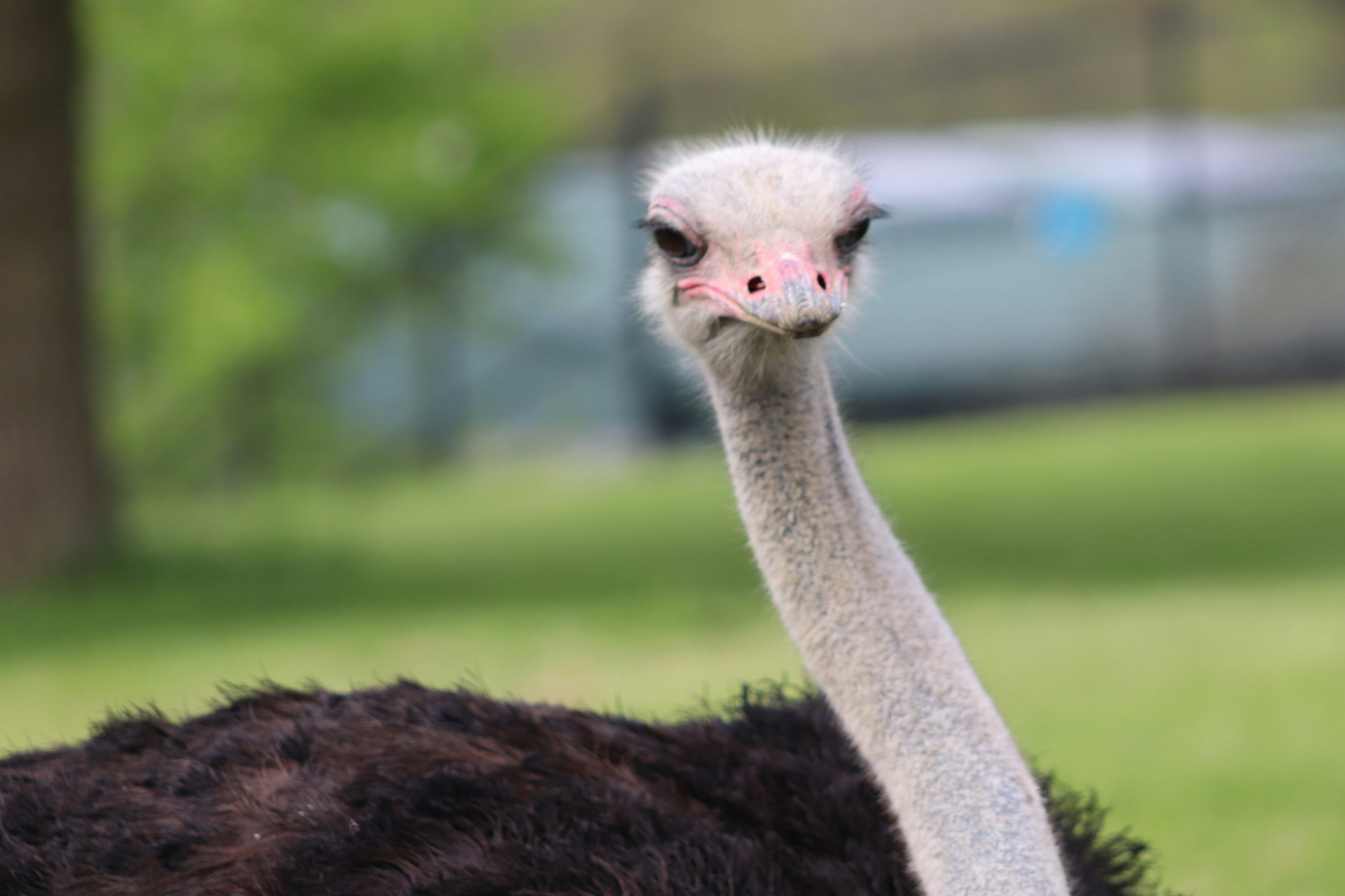 Photo by francisco_lopez_c