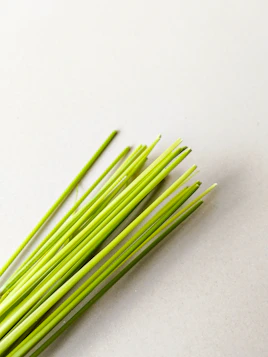 Fresh chives are laid out on a light surface