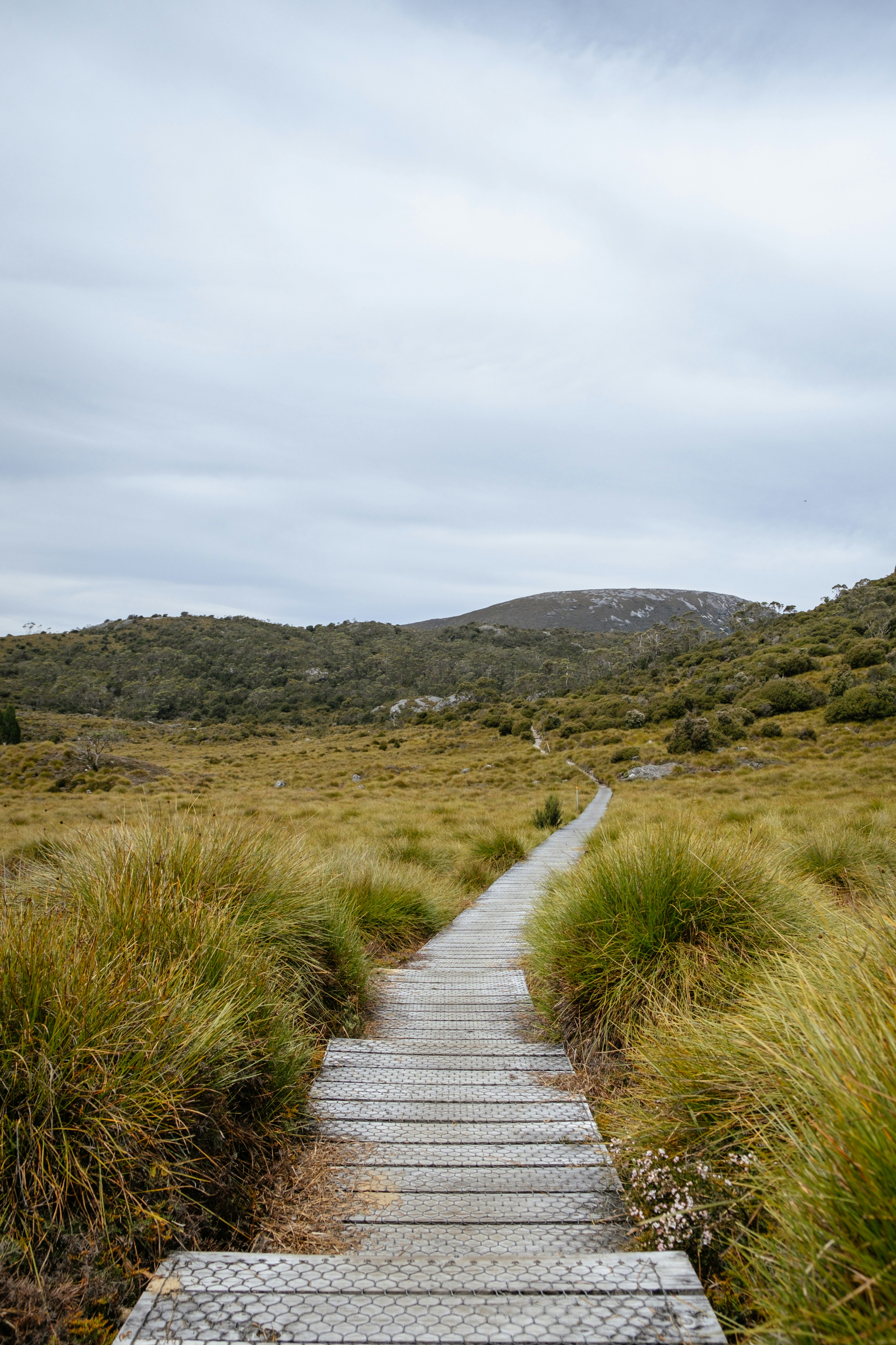 Photo by johanmouchet