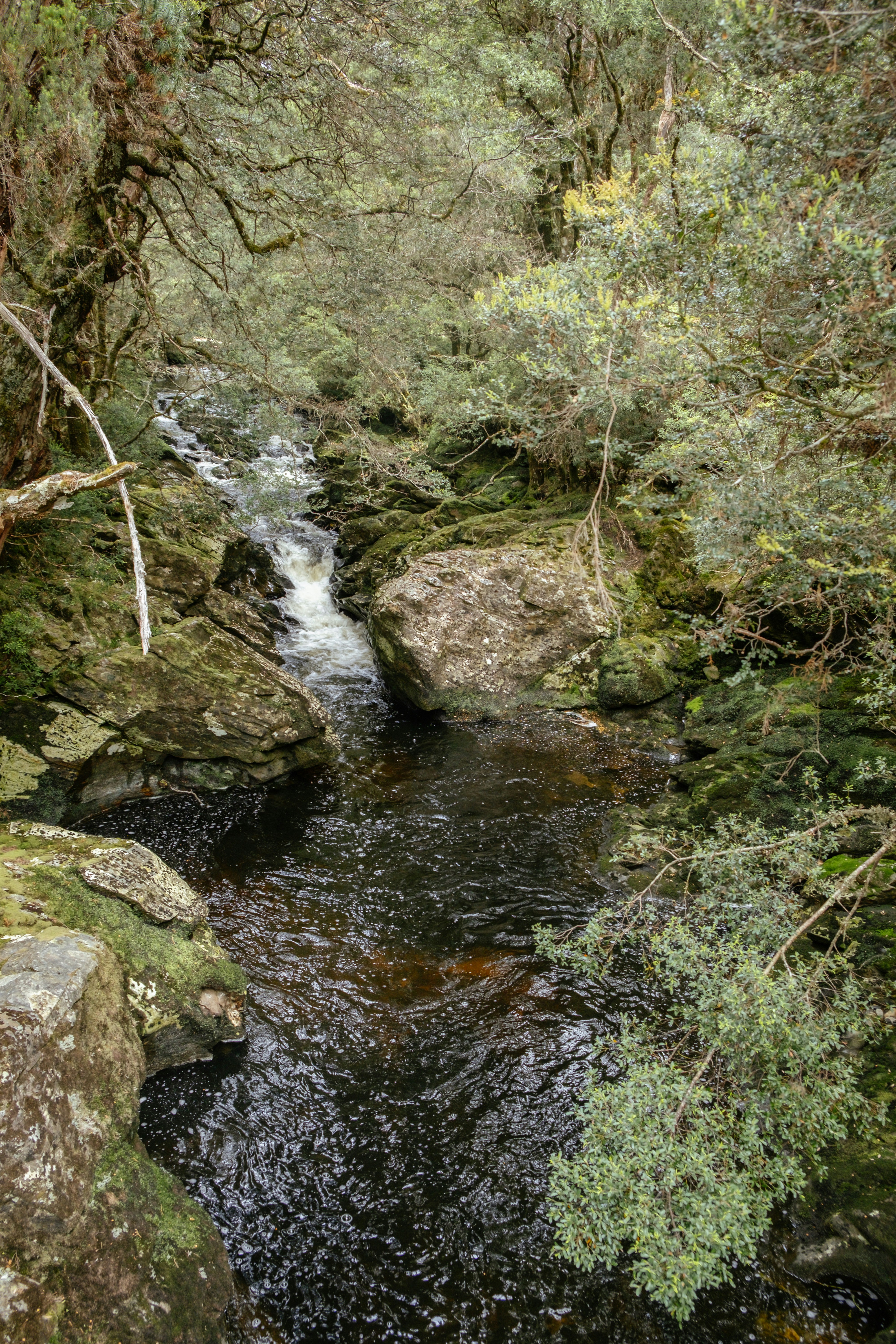 Photo by johanmouchet