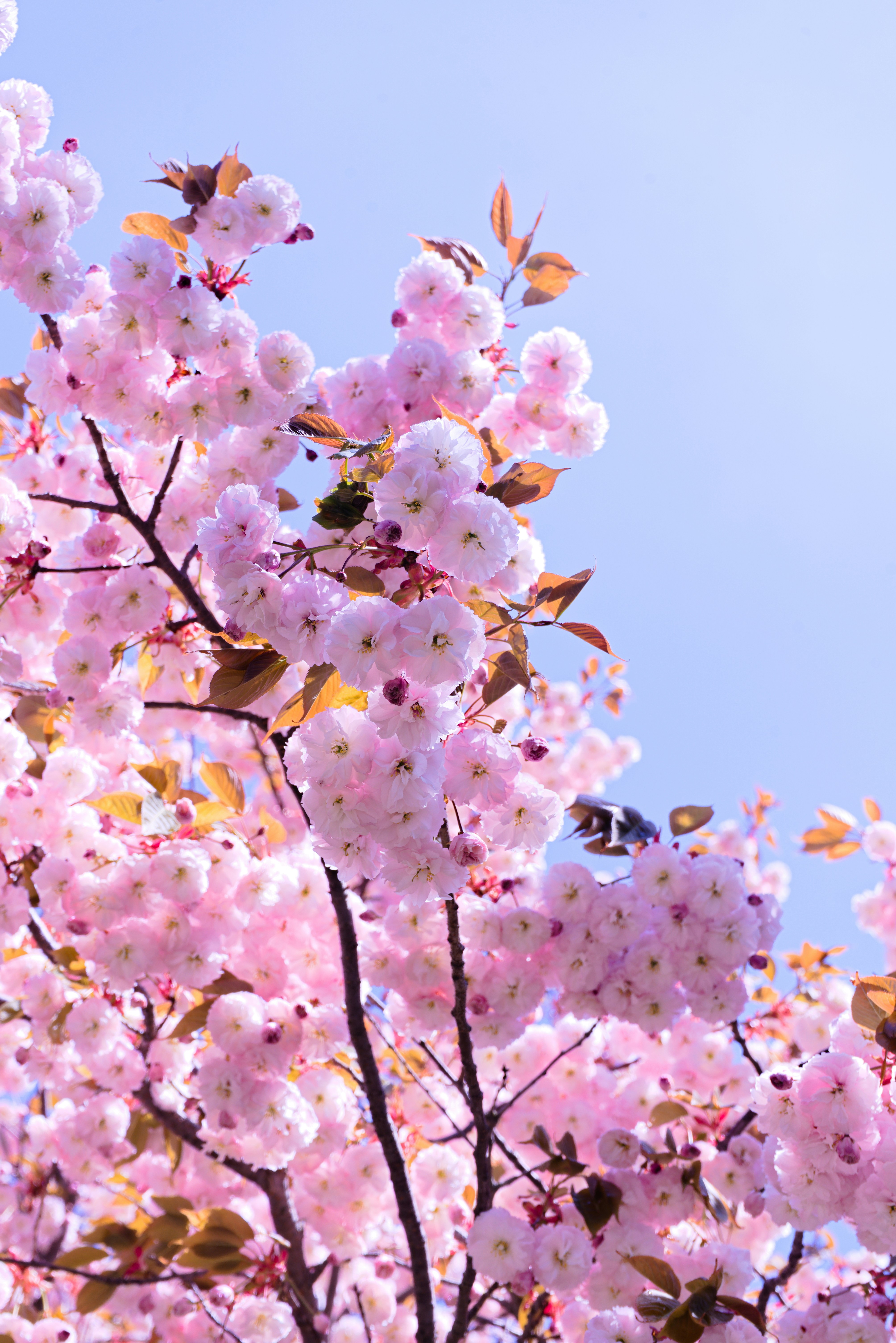 Photo by dailuxestudio