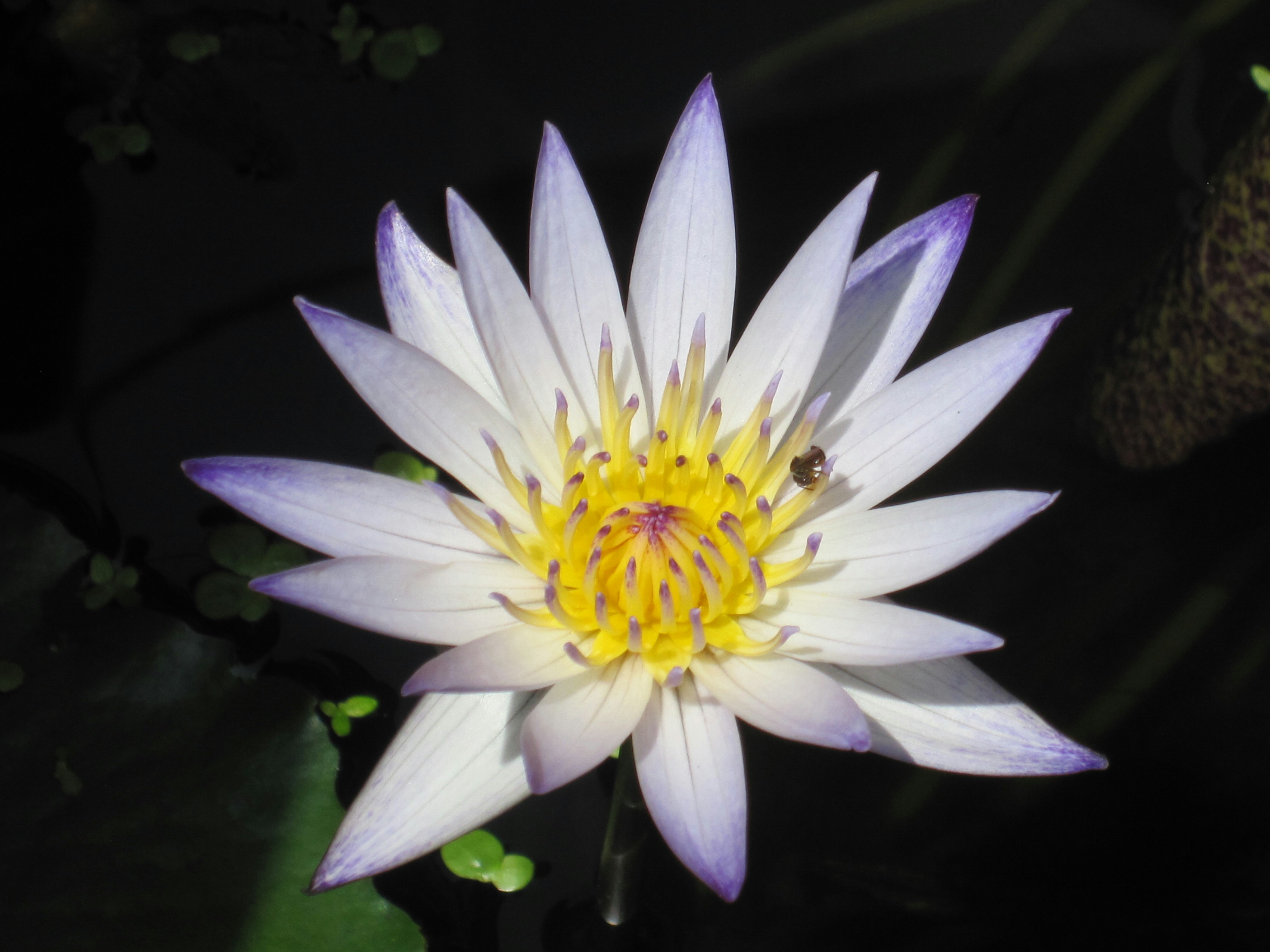 Photo by forgottentunnel