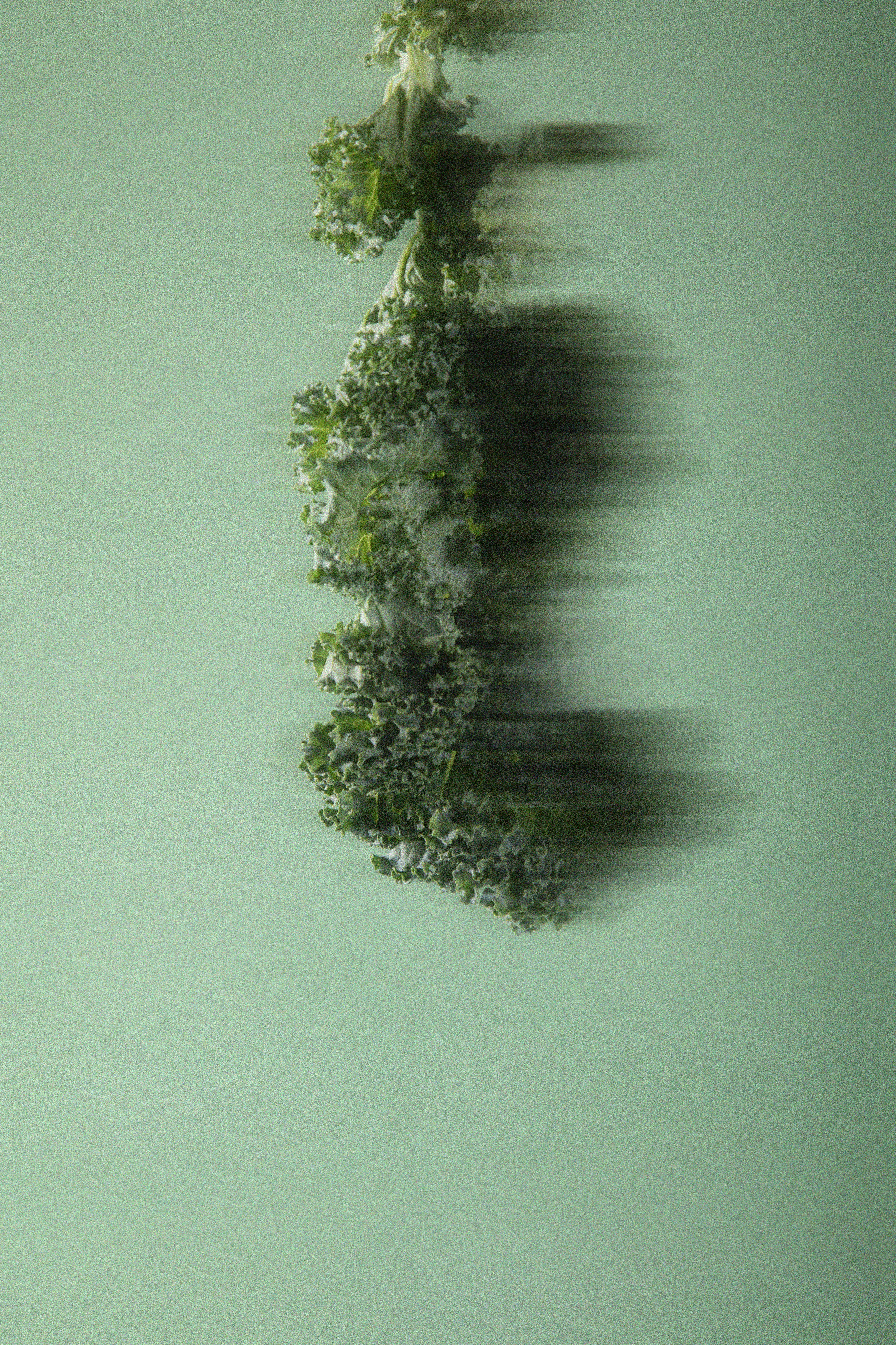 Kale appears distorted on a muted green background.