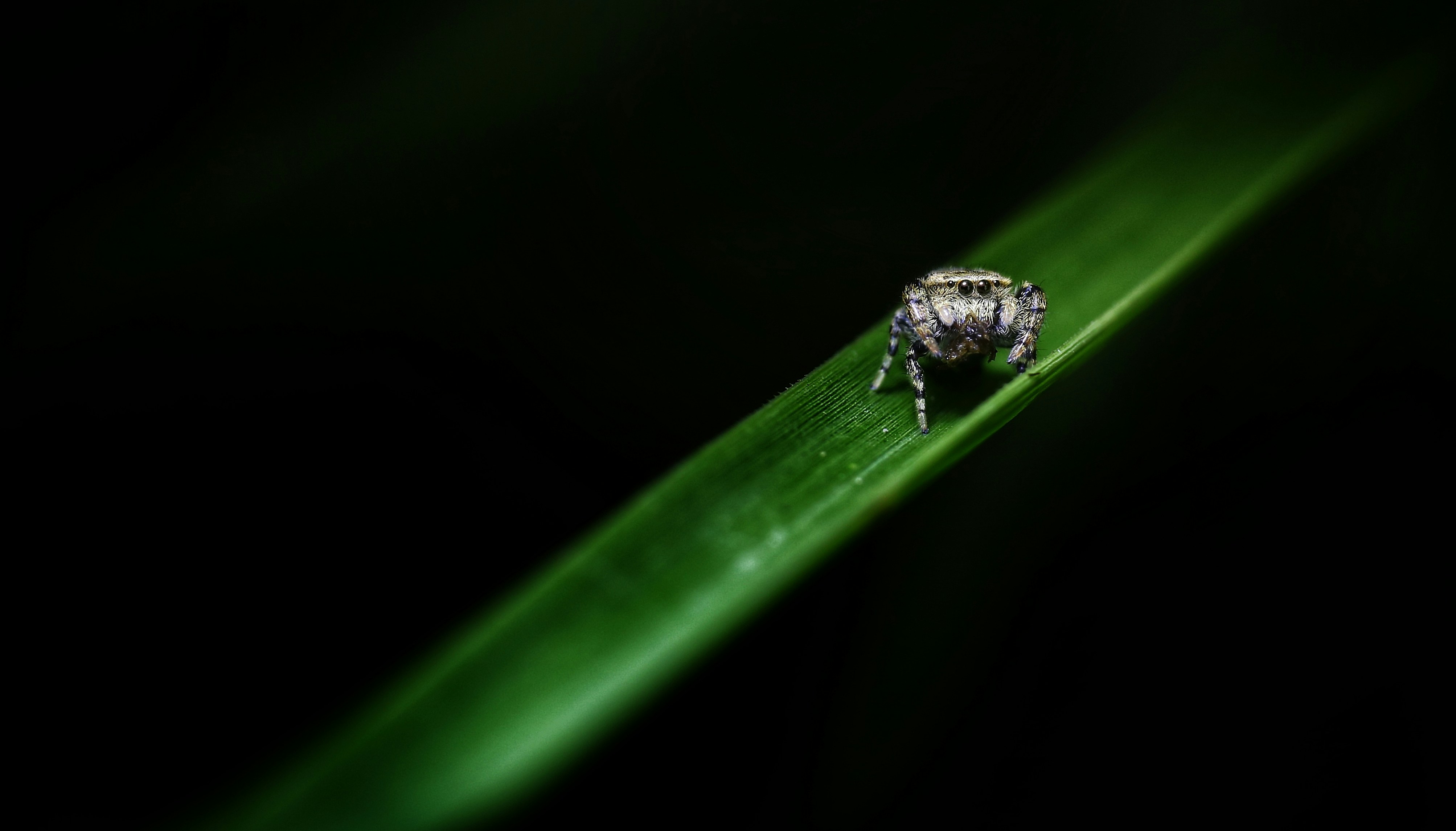 photo 1749188089472 32e58570b5f5?crop=entropy&cs=tinysrgb&fit=max&fm=jpg&ixid=M3w1MjQ0NjR8MHwxfHNlYXJjaHw3fHxQZXN0JTIwQ29udHJvbCUyMENvbXBhbnl8ZW58MHwwfHx8MTc1OTk5MTI1OHww&ixlib=rb 4.1