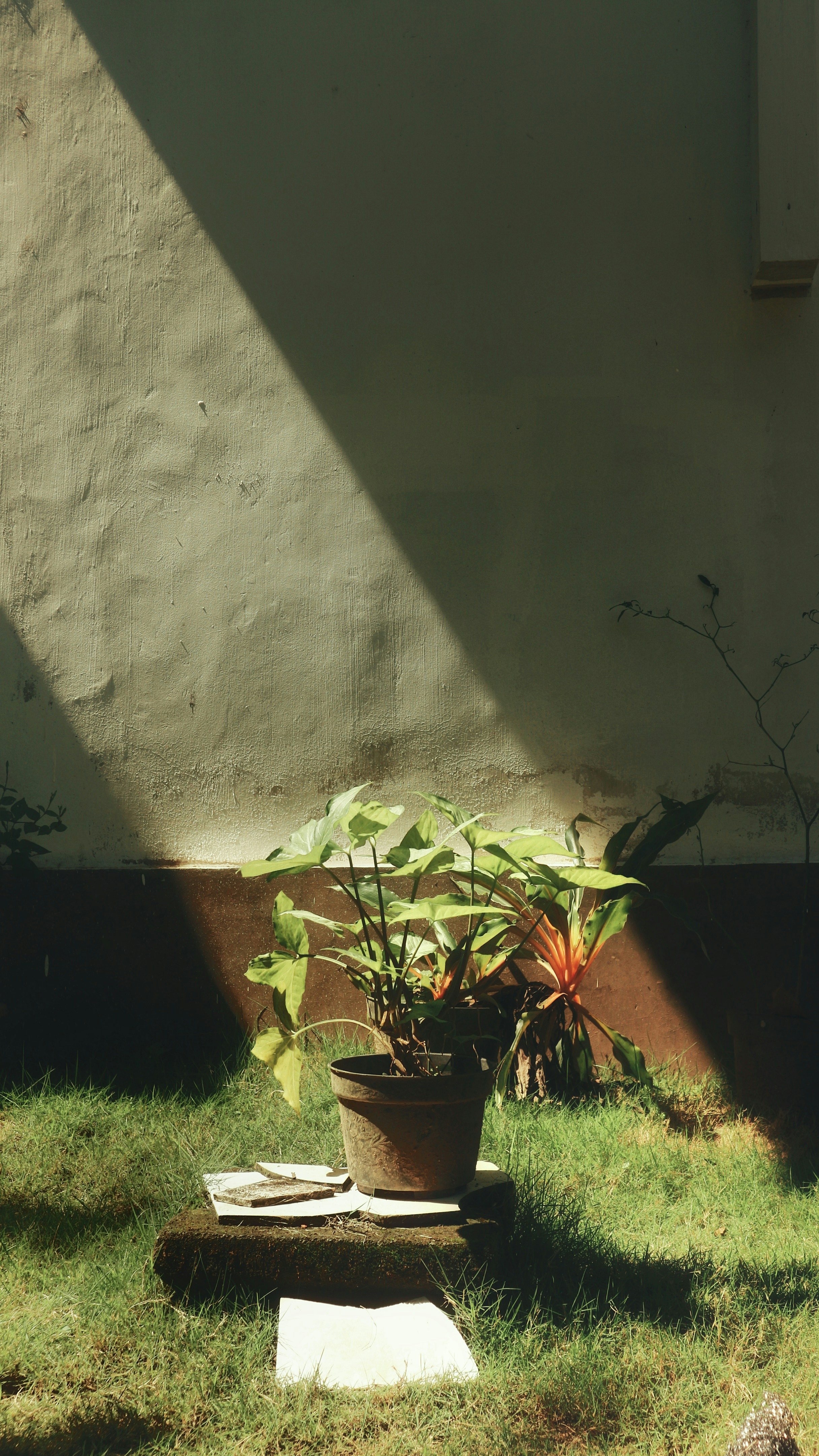 Photo by salsatalieani