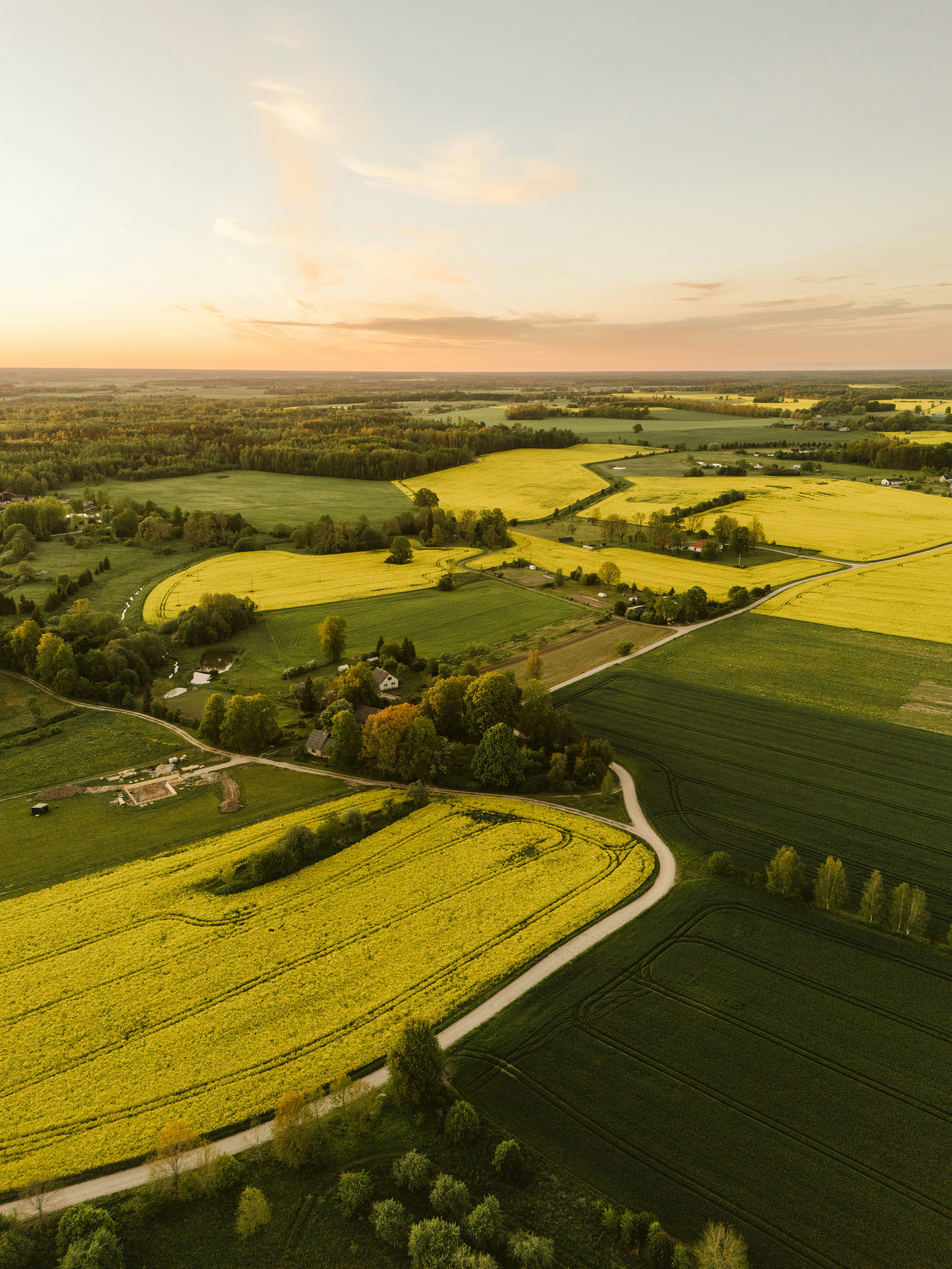 Photo by vilkuaivars