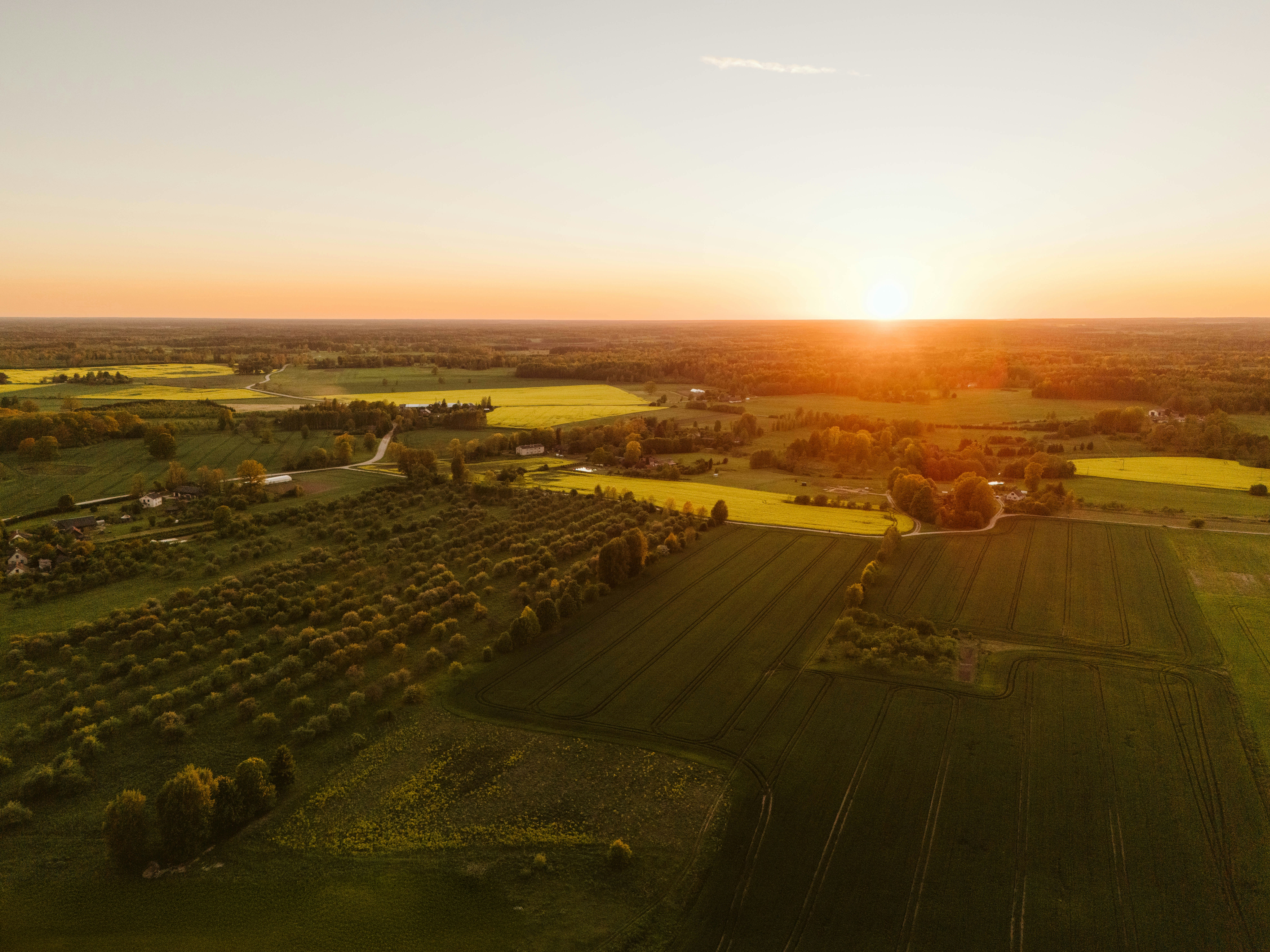 Photo by vilkuaivars