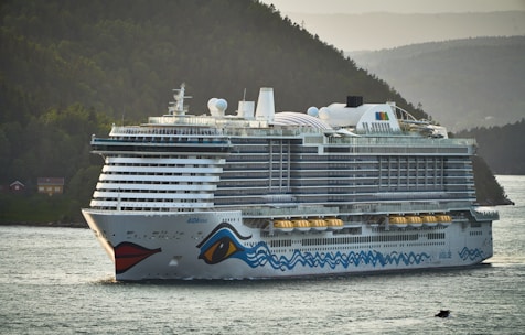 A large cruise ship sails through the water.