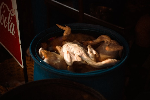 Chickens are submerged in a blue barrel.