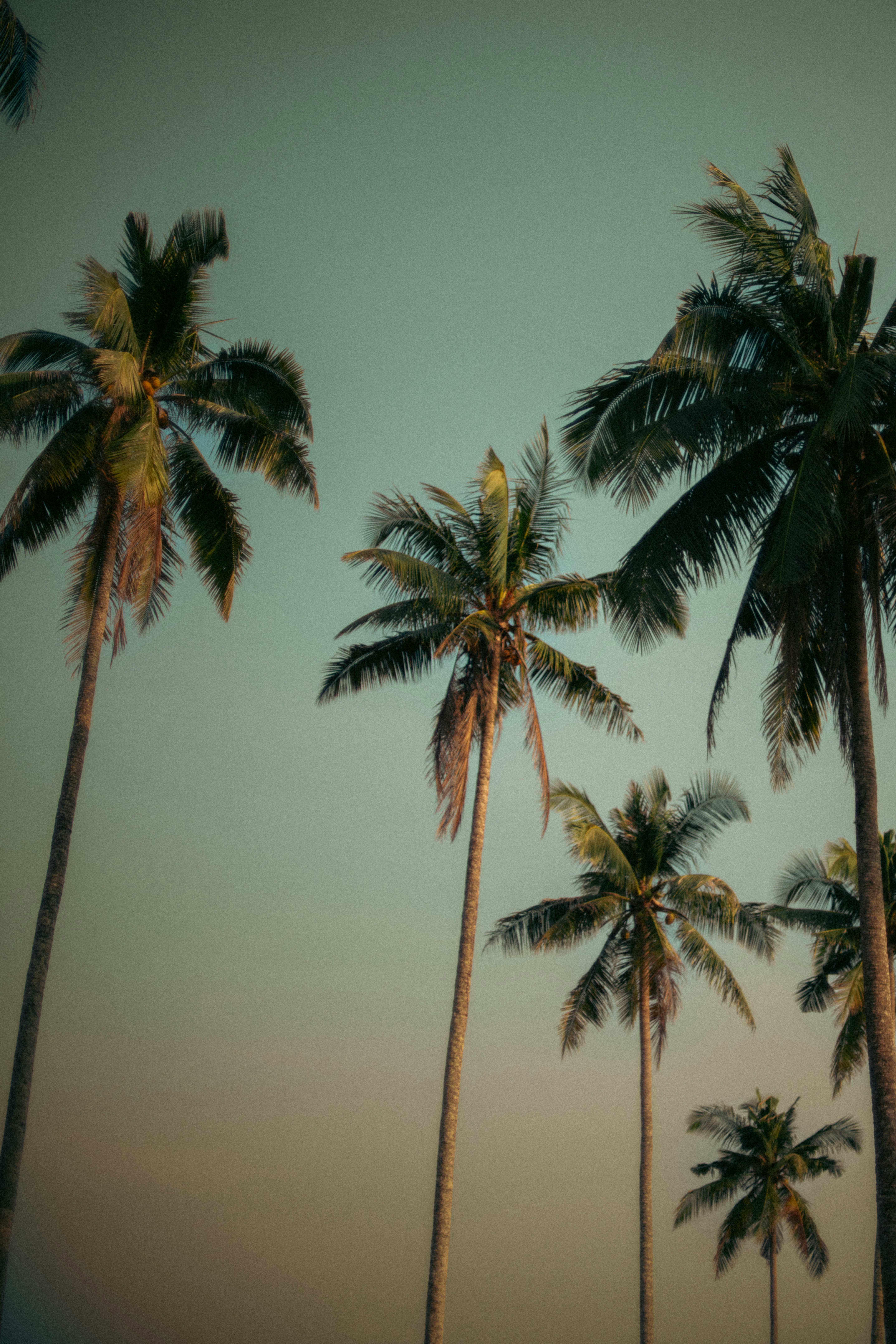 Photo by brunovdkraan