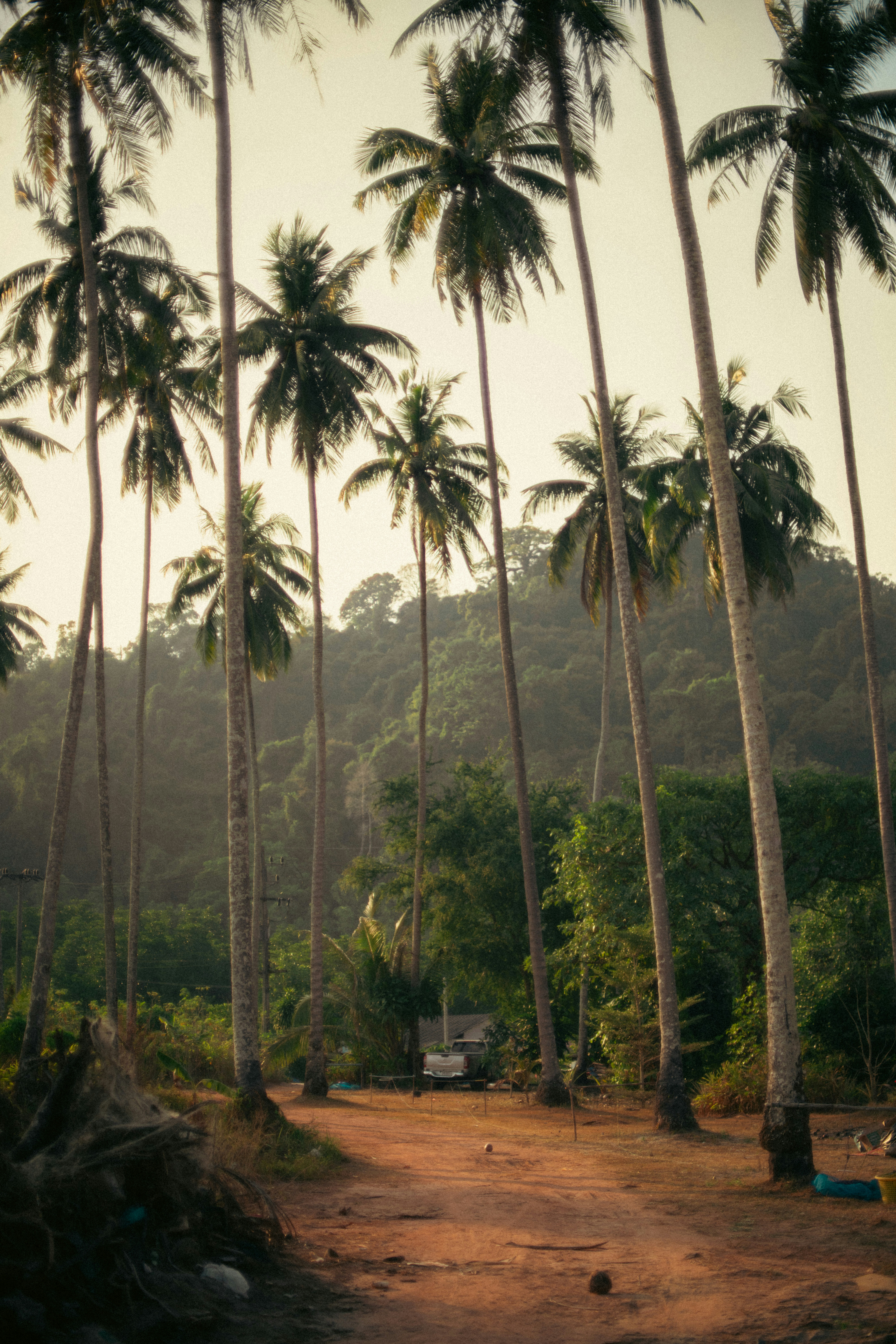 Photo by brunovdkraan