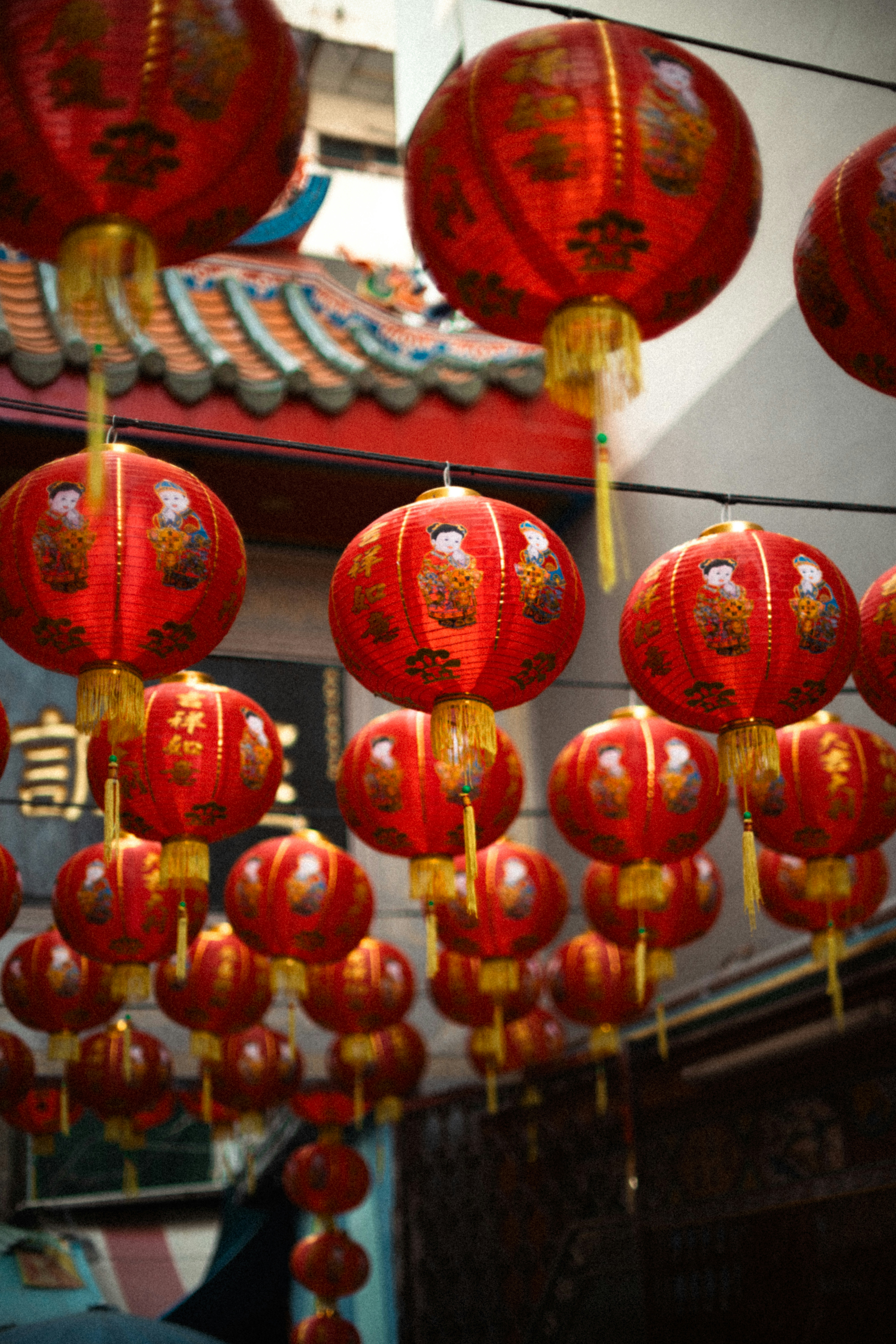 Photo by brunovdkraan