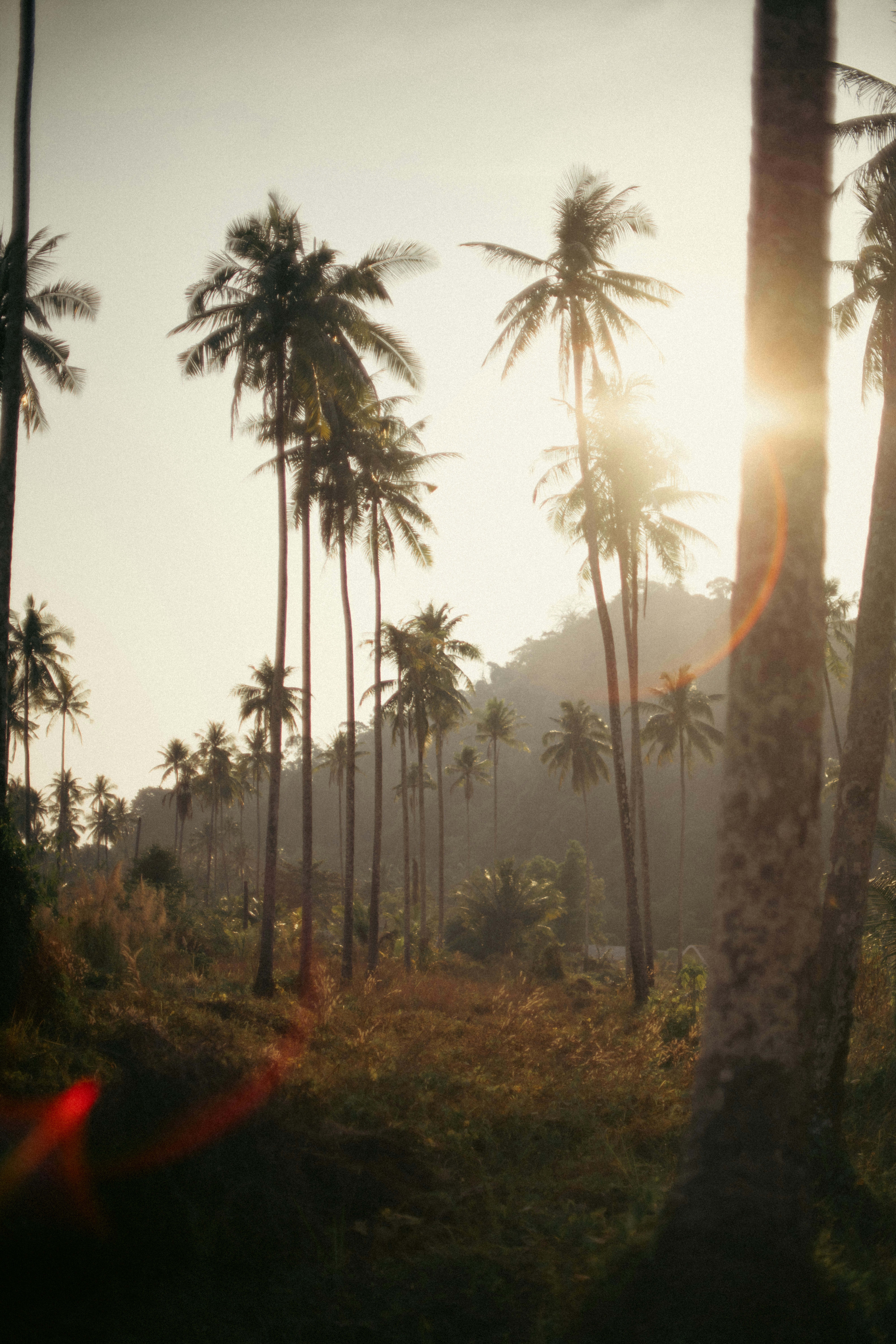 Photo by brunovdkraan