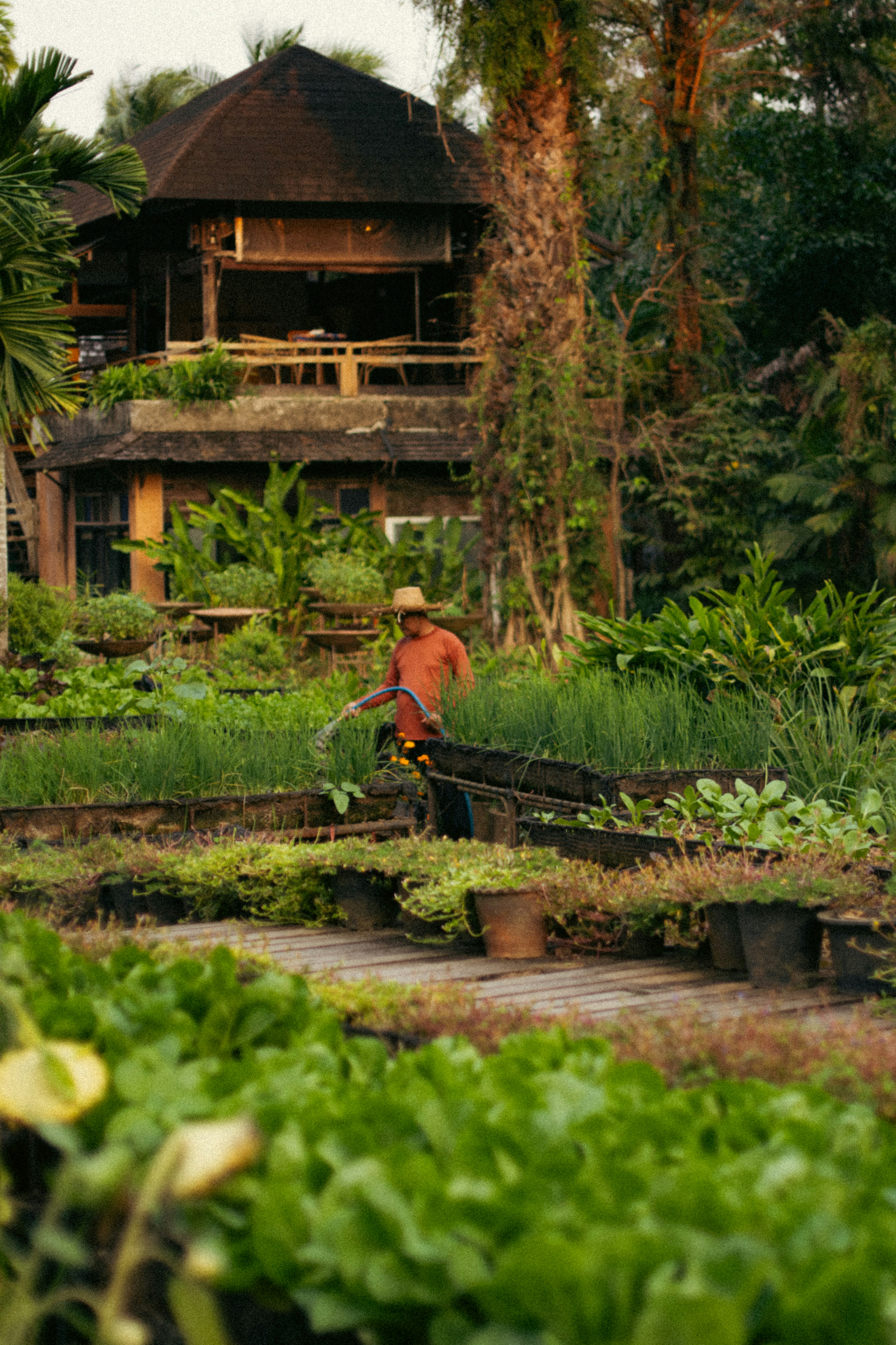 농부는 아름다운 건물 근처의 정원에 물을 줍니다.