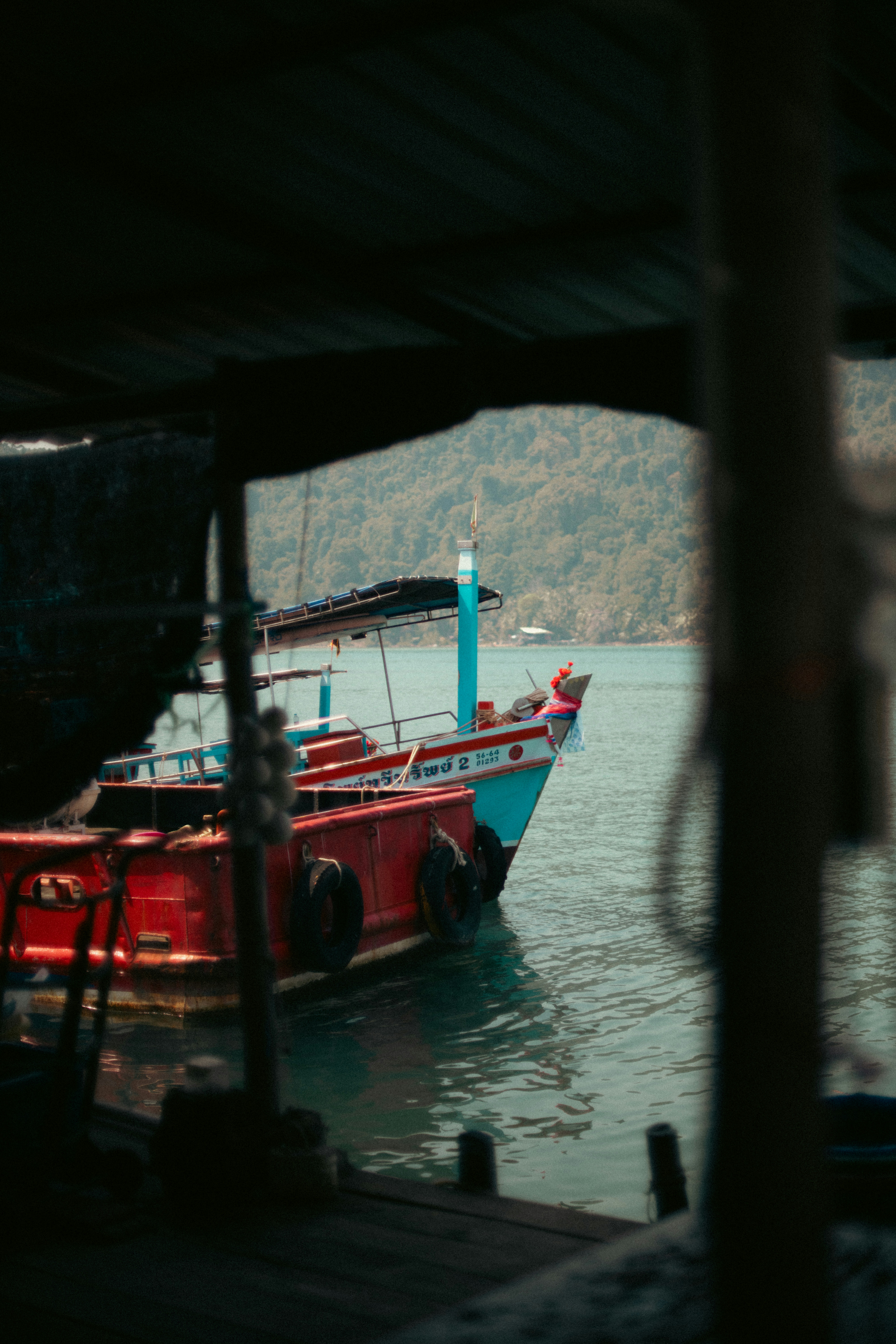 Photo by brunovdkraan