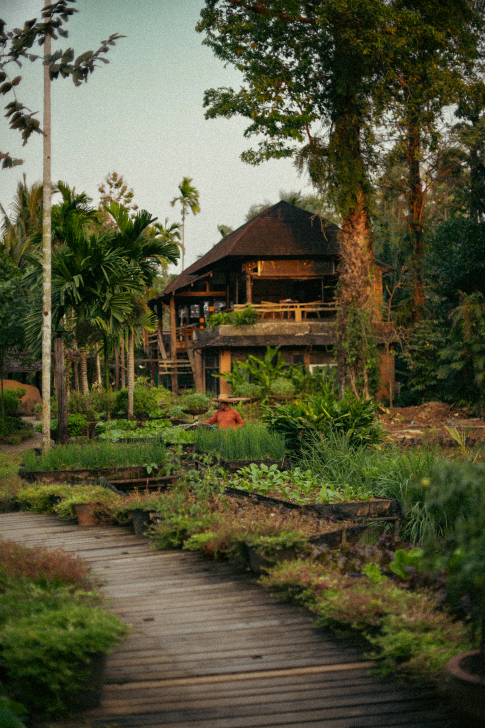 A serene eco-lodge framed by lush forest